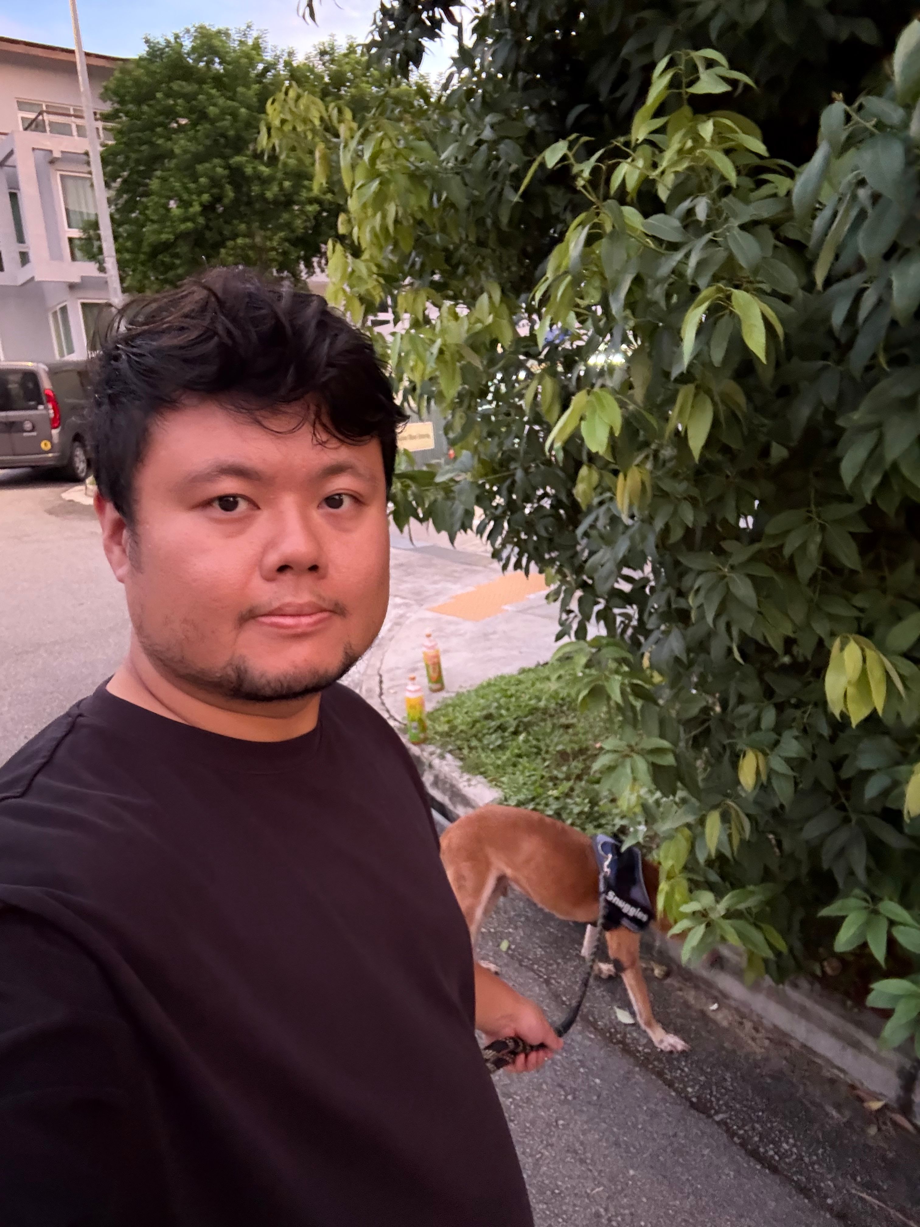 image-8