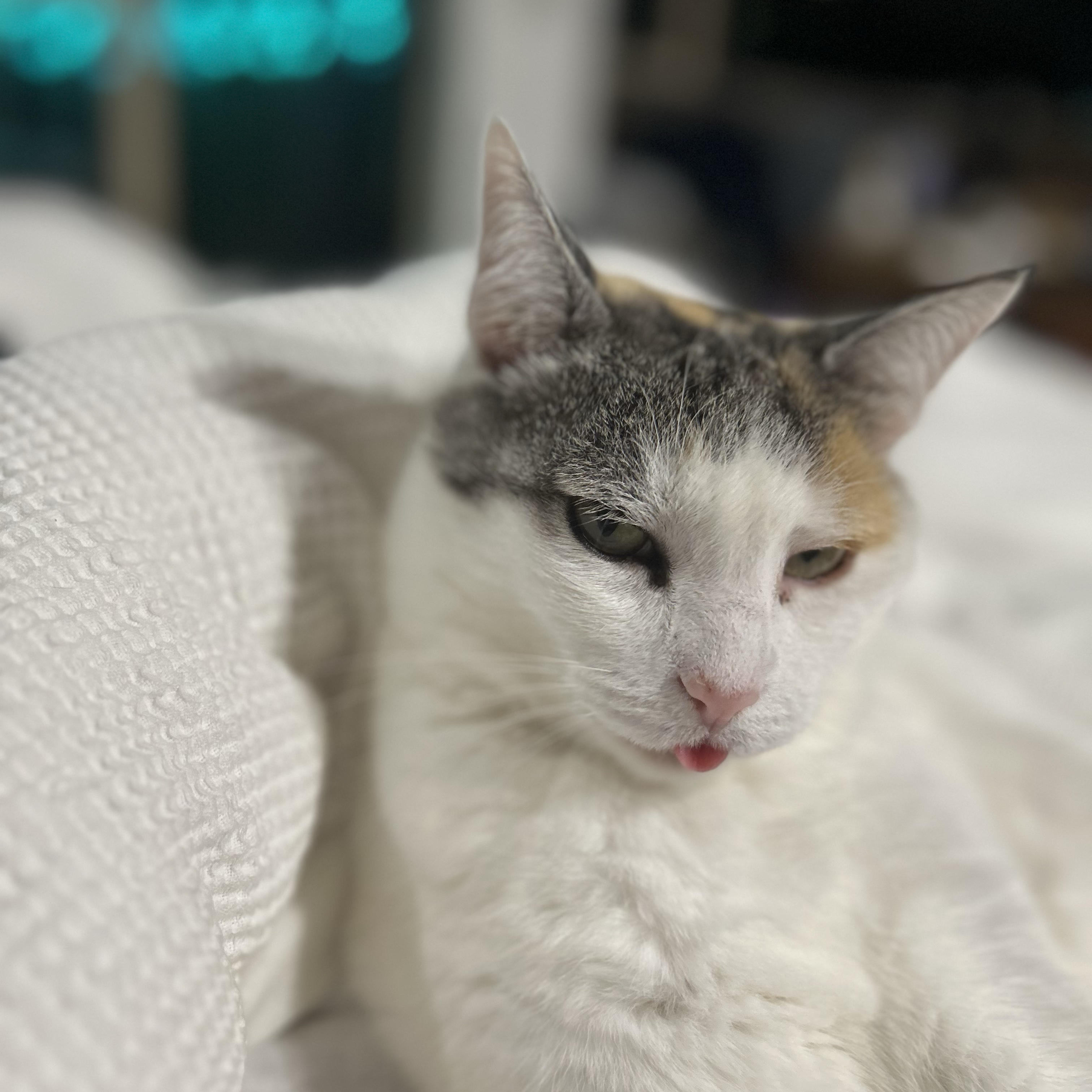 Missy