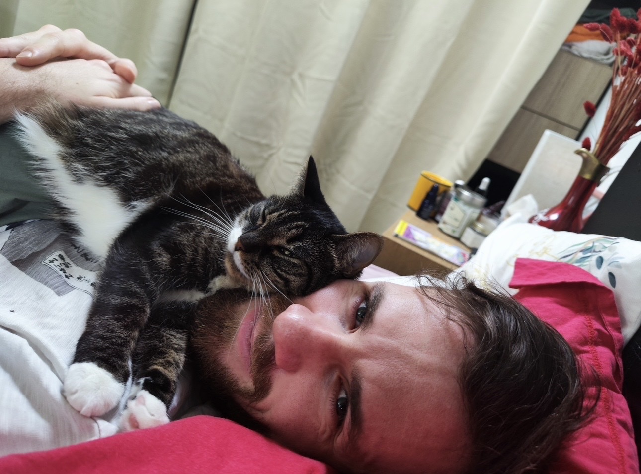 image-7