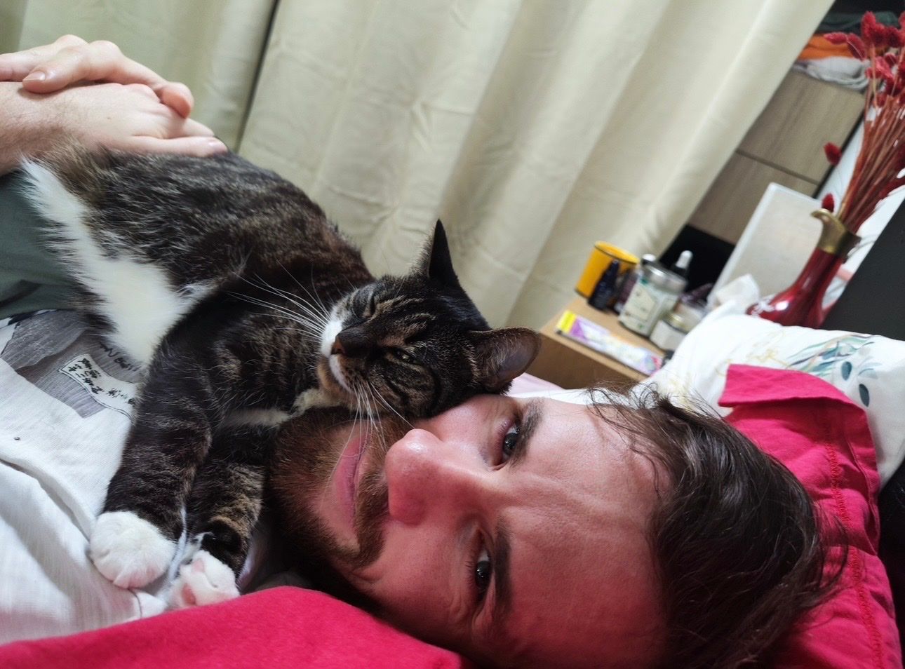 image-7