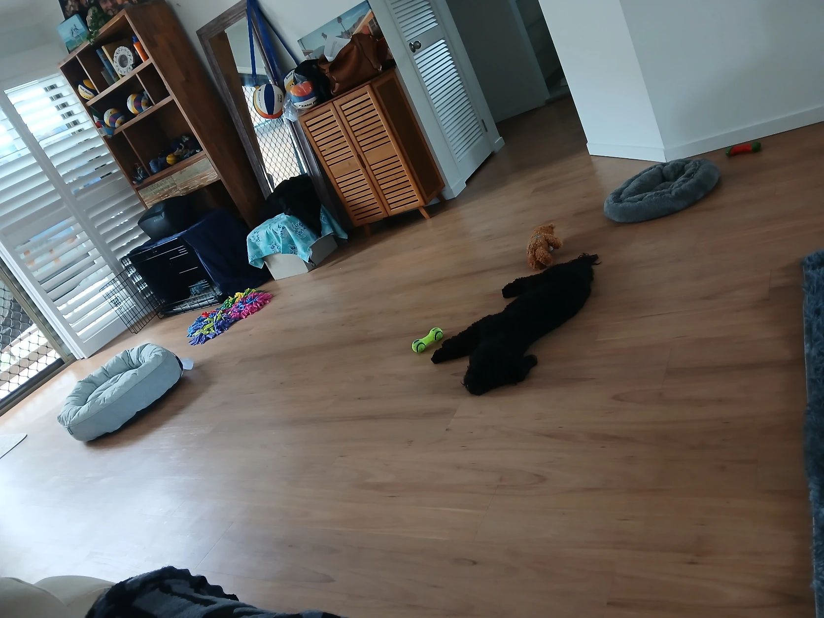 image-19