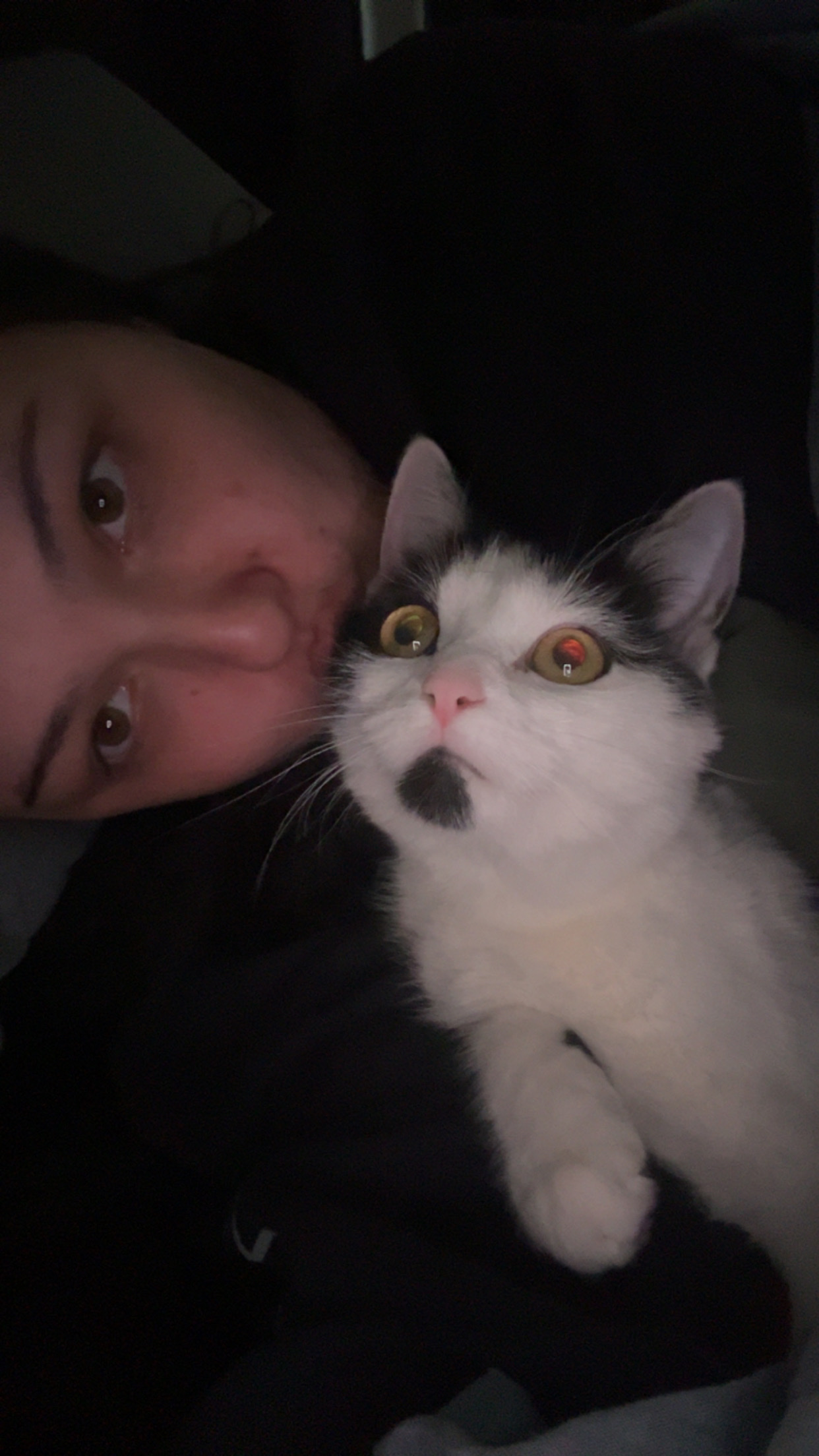 image-7