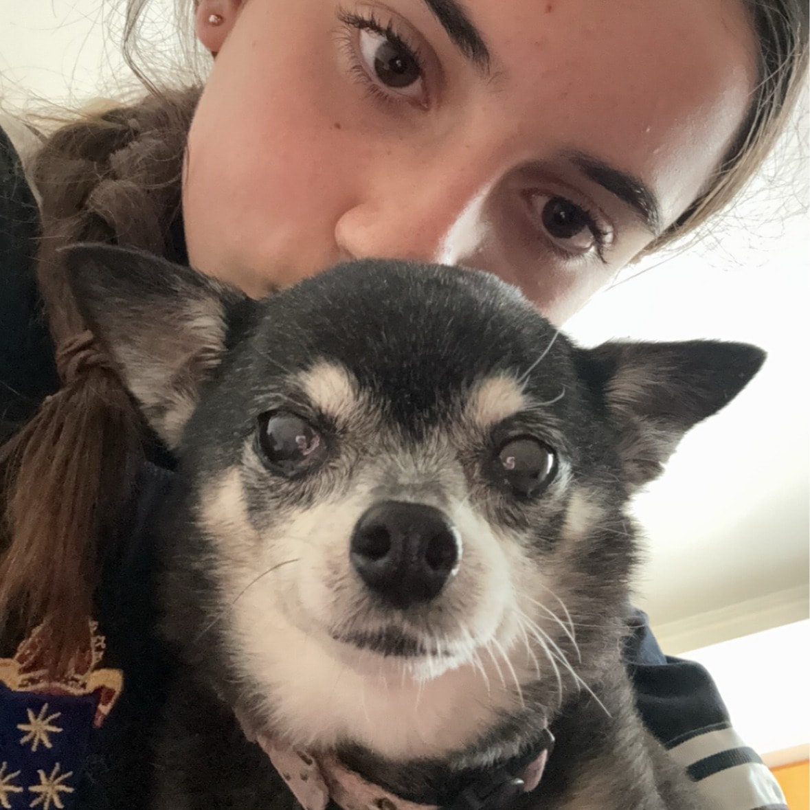 Gracie