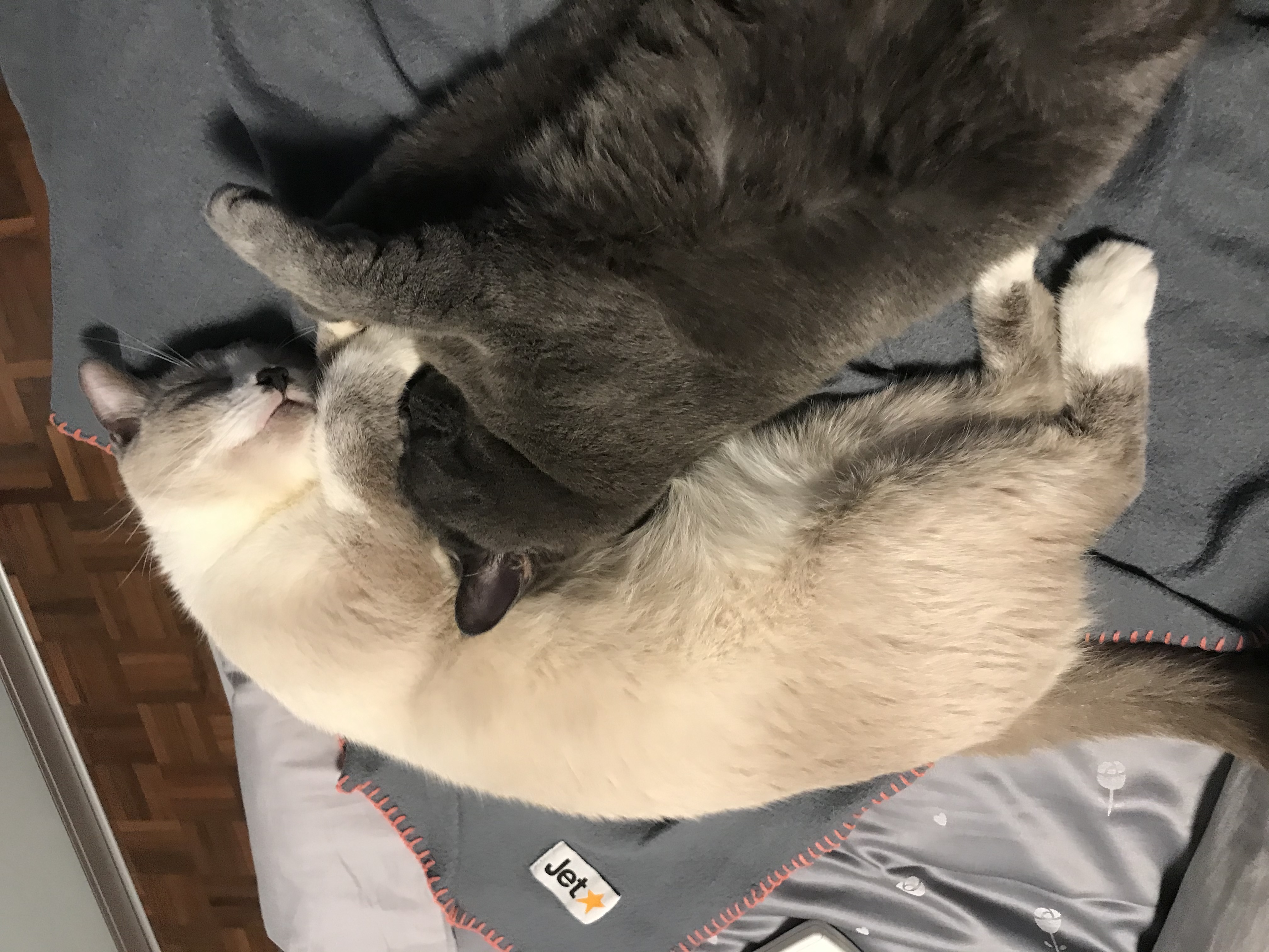 image-6
