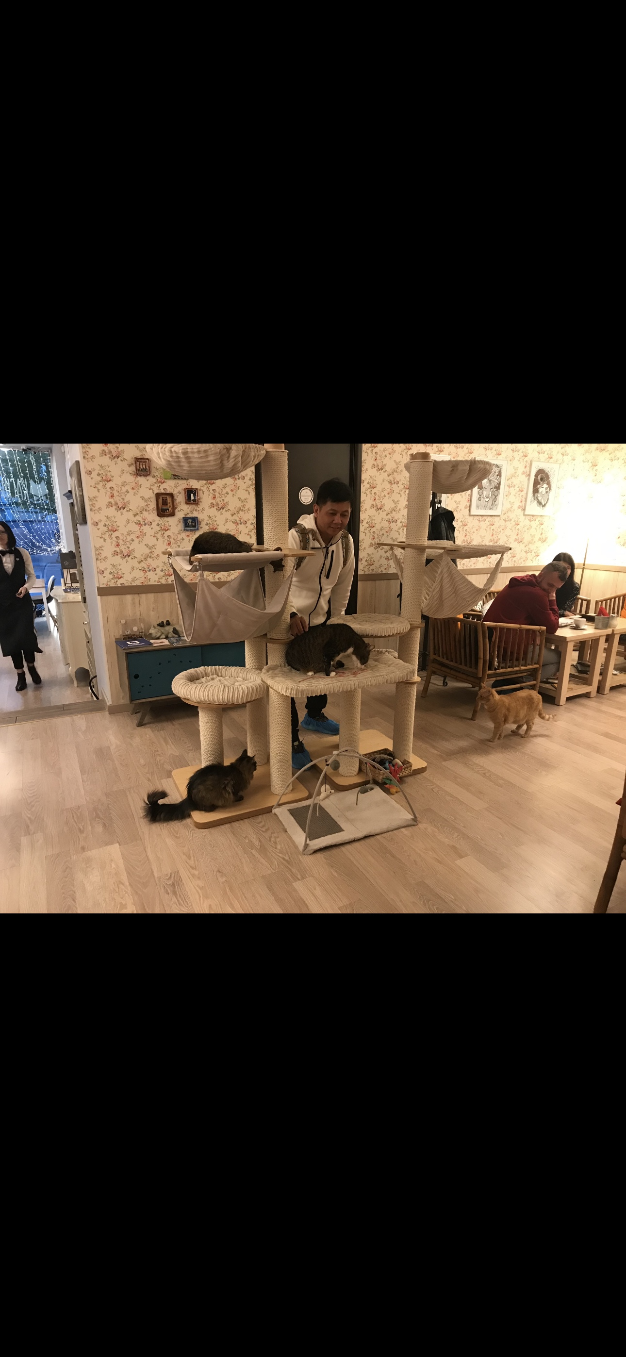 image-8