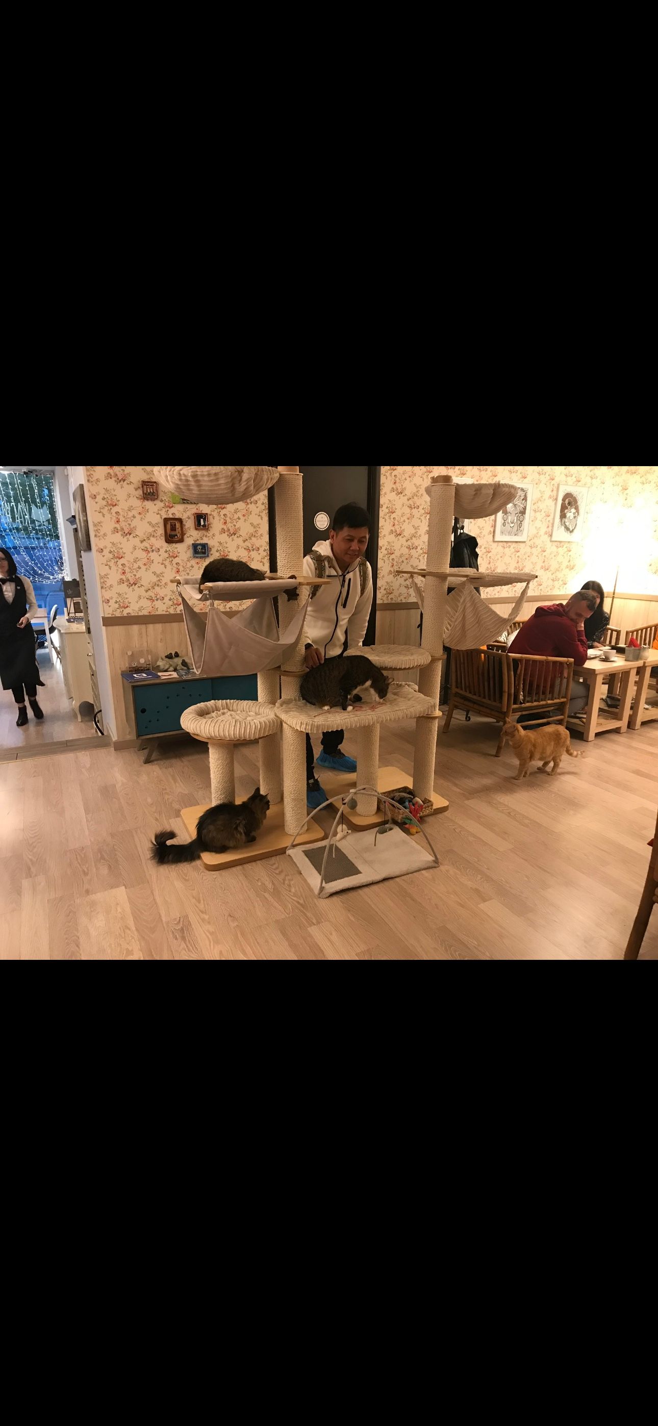 image-8