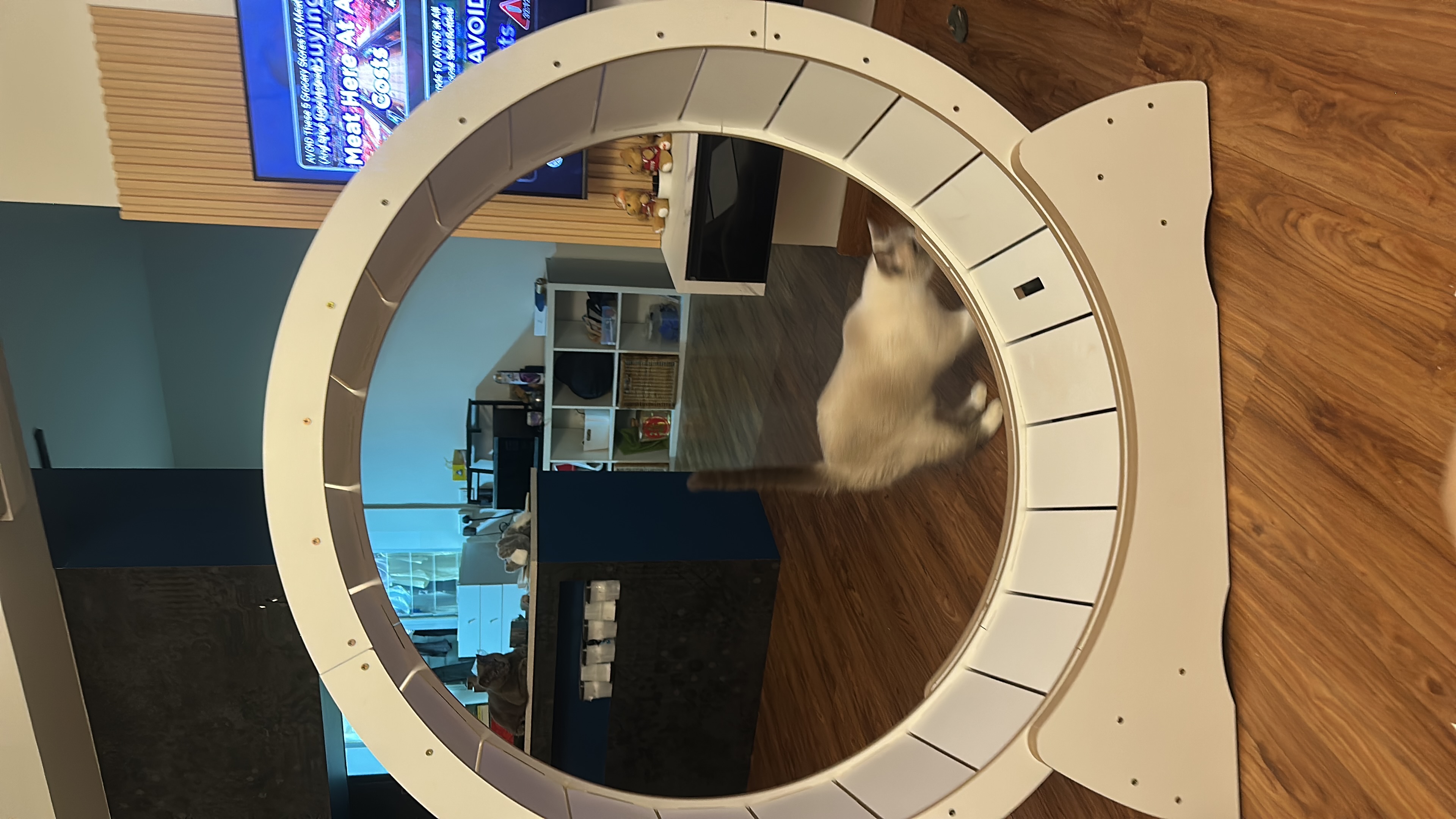 image-16