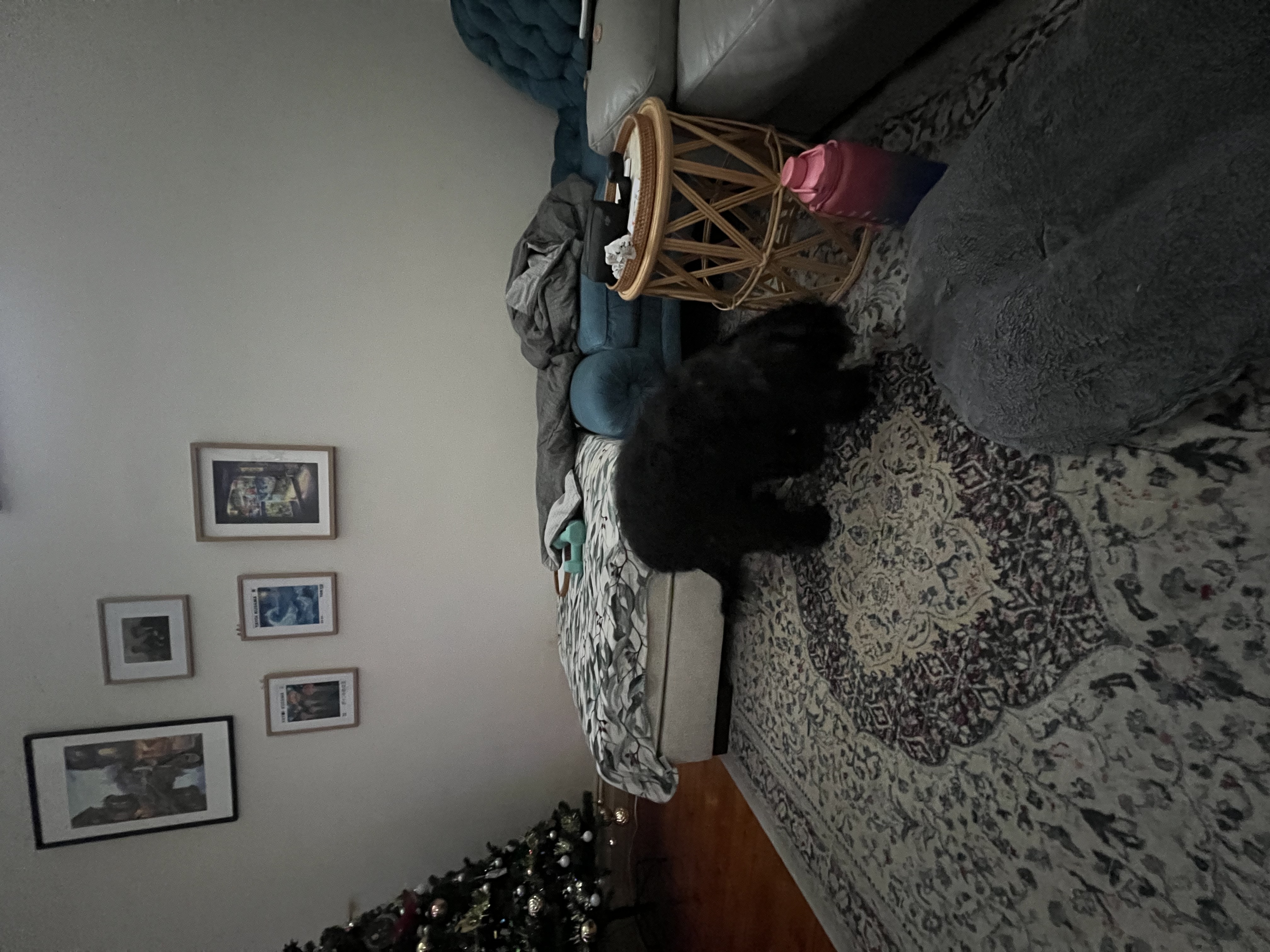image-13