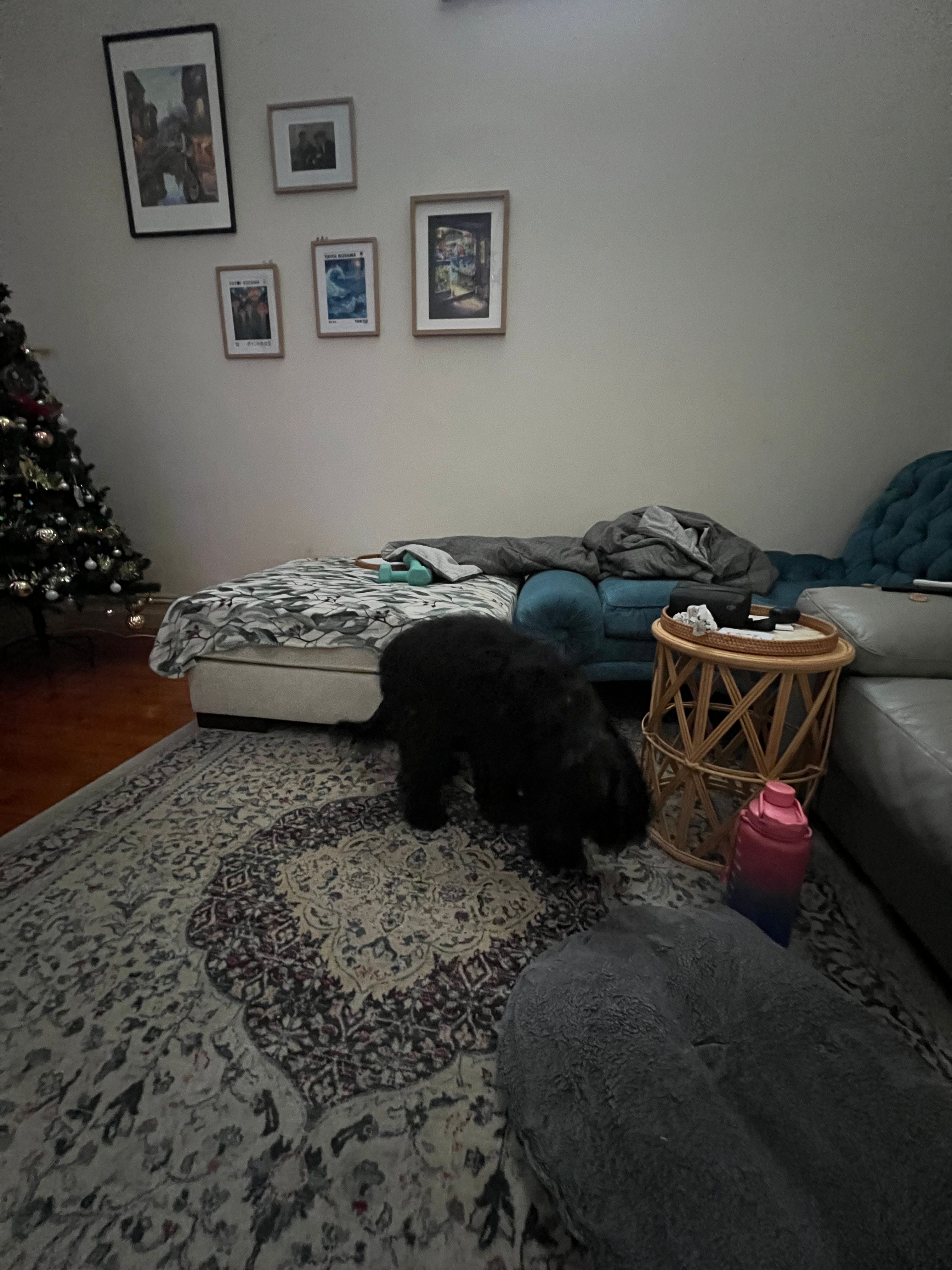 image-13