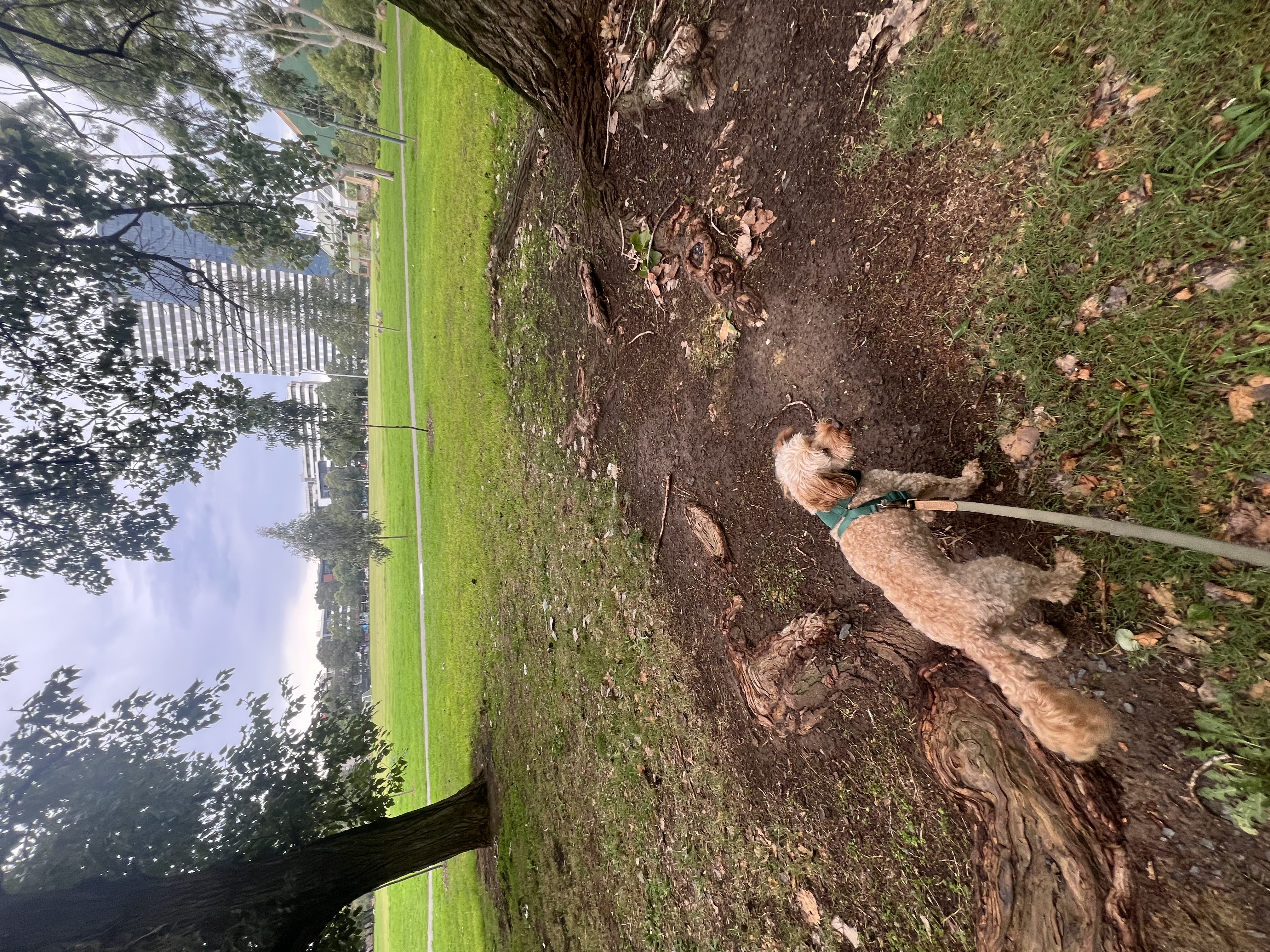 image-16
