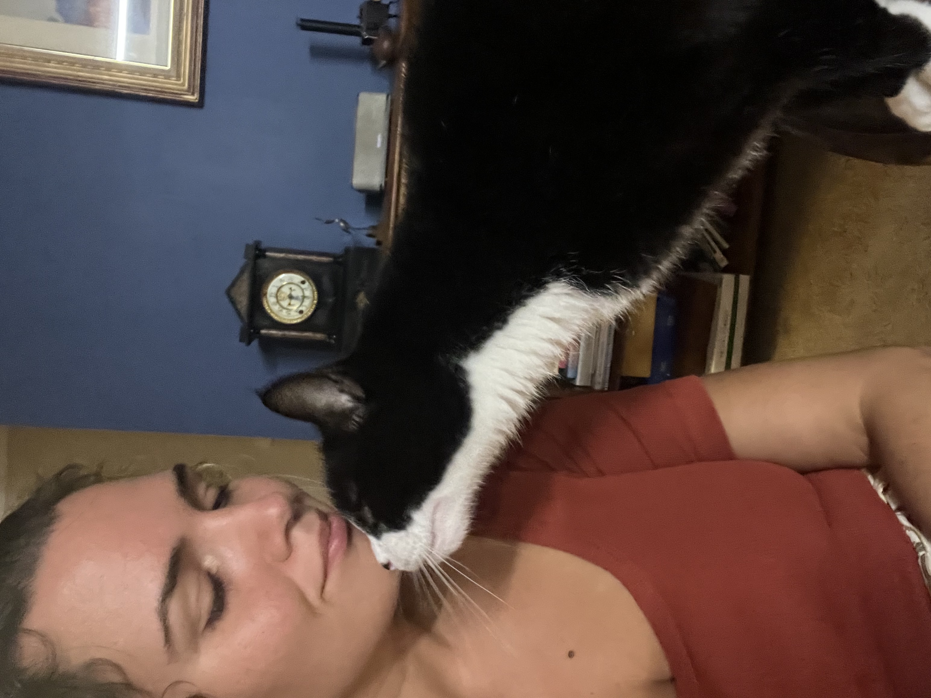 image-6