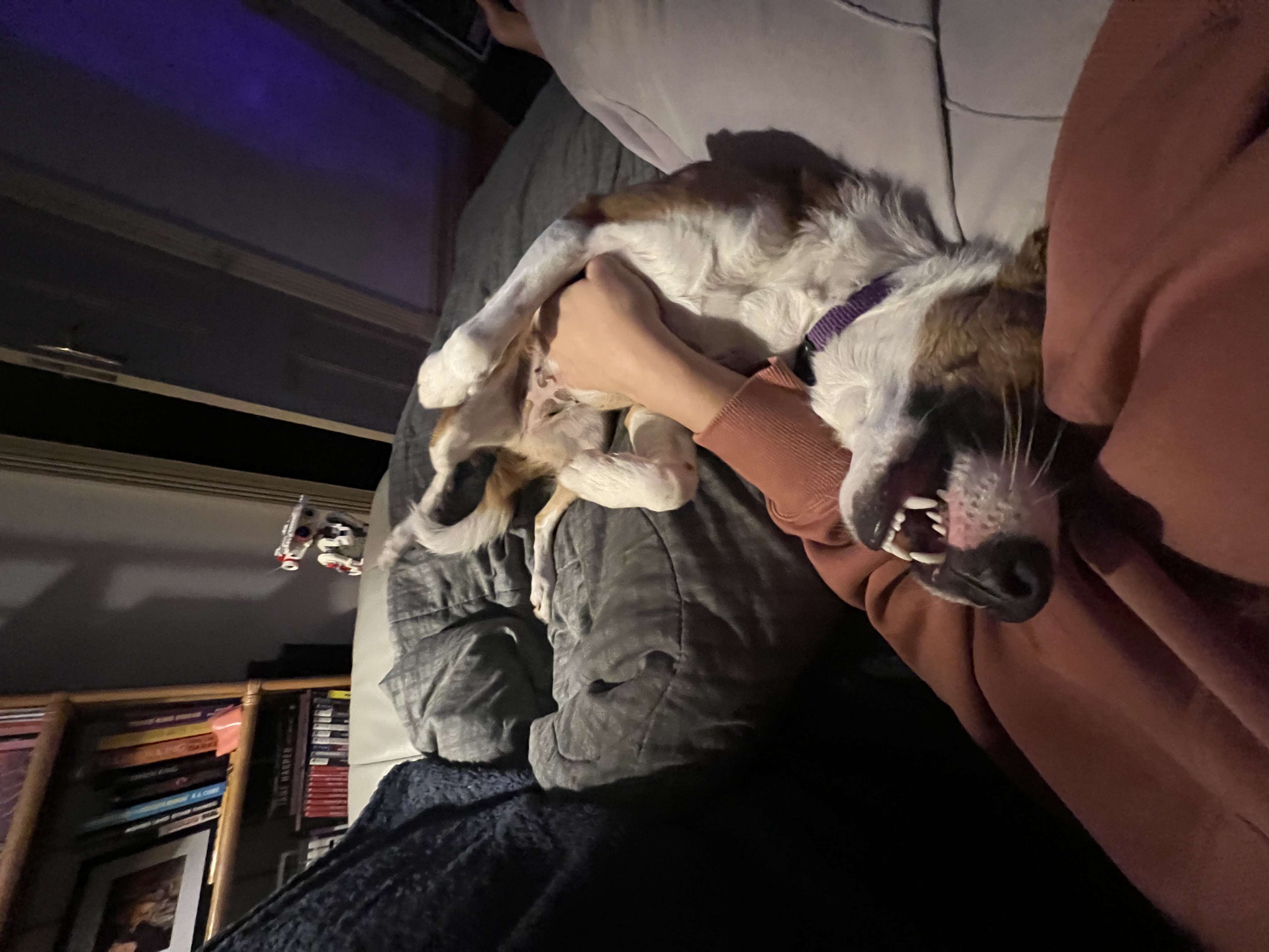 image-8