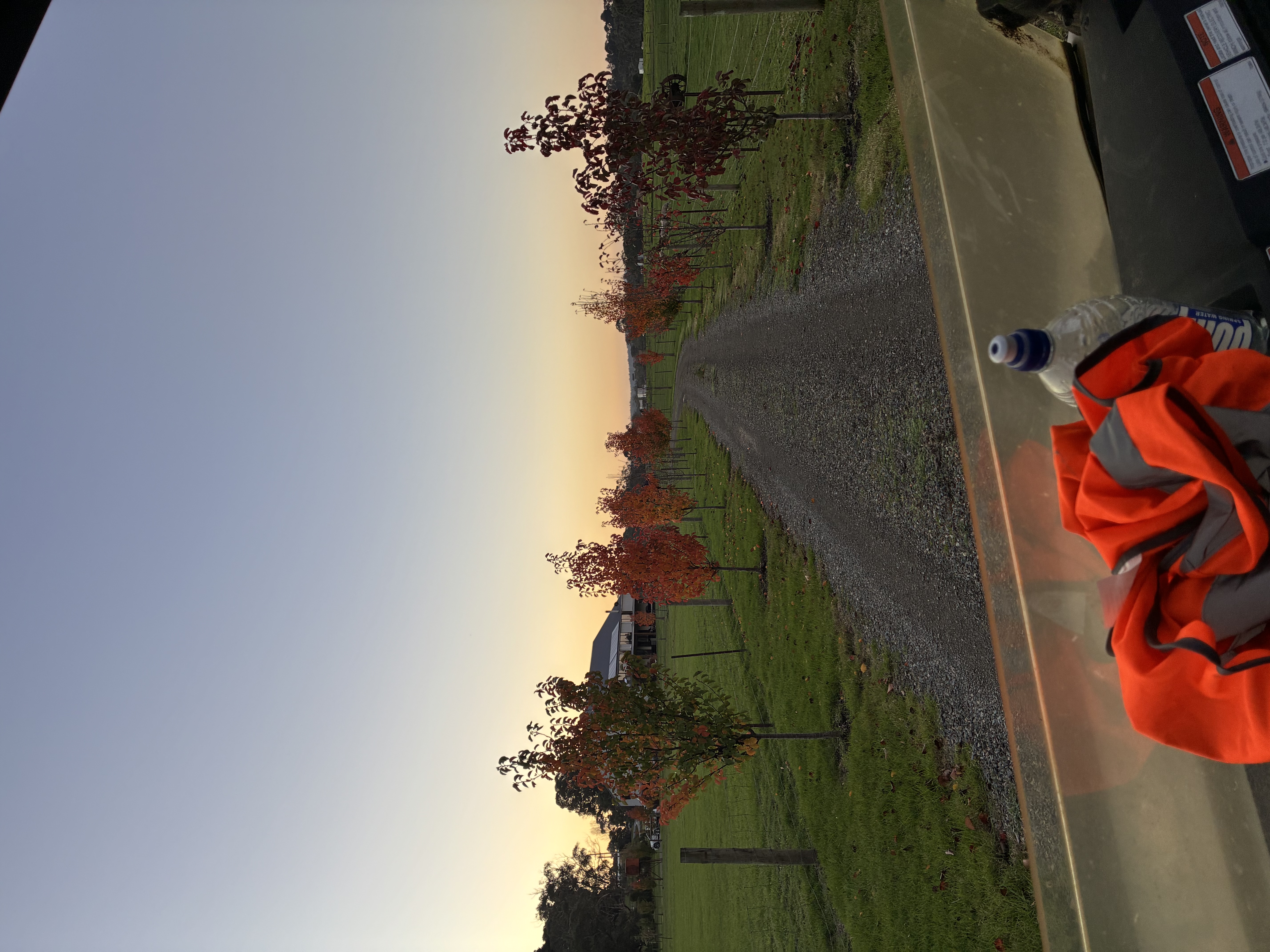 image-5