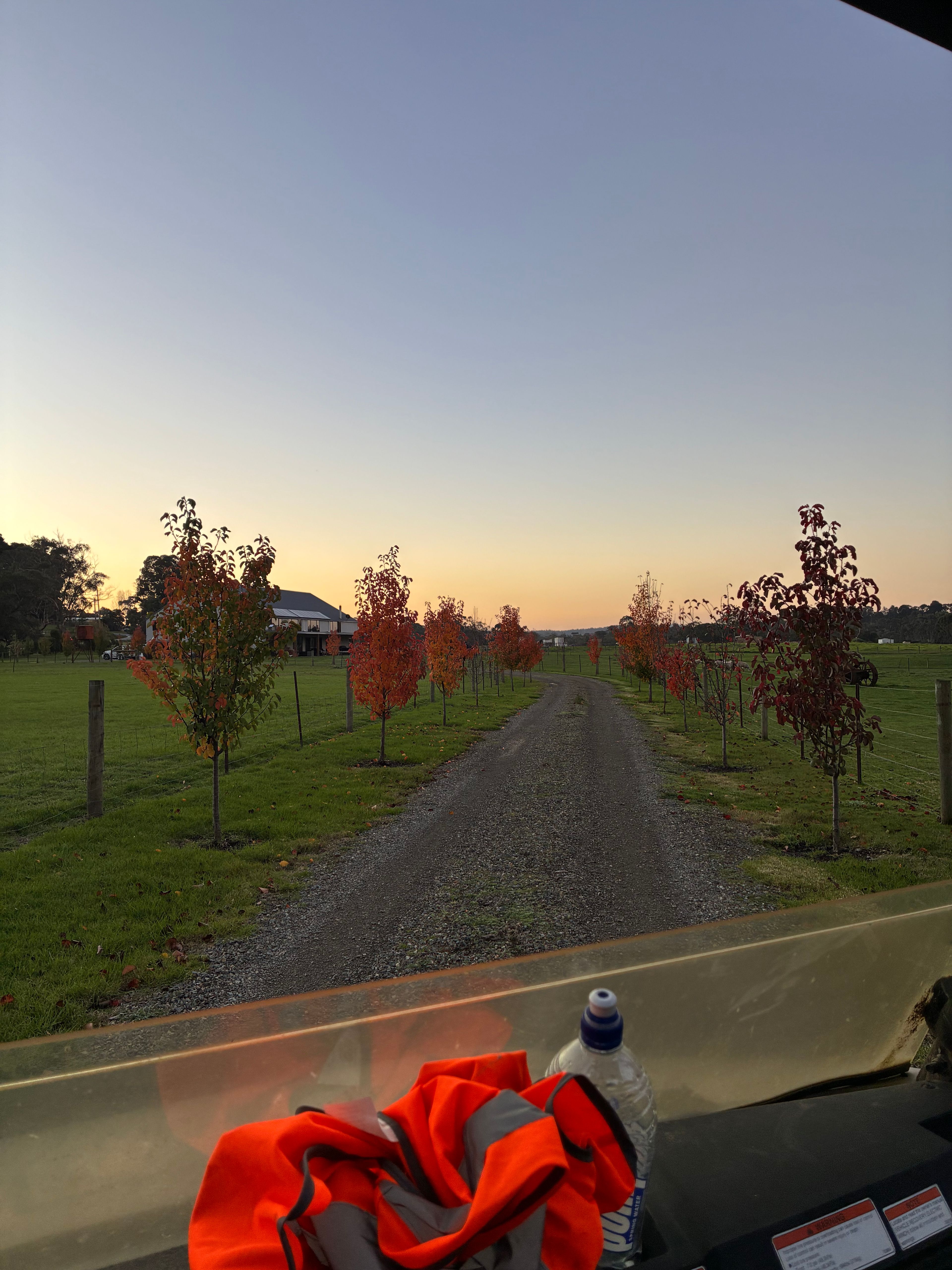 image-5