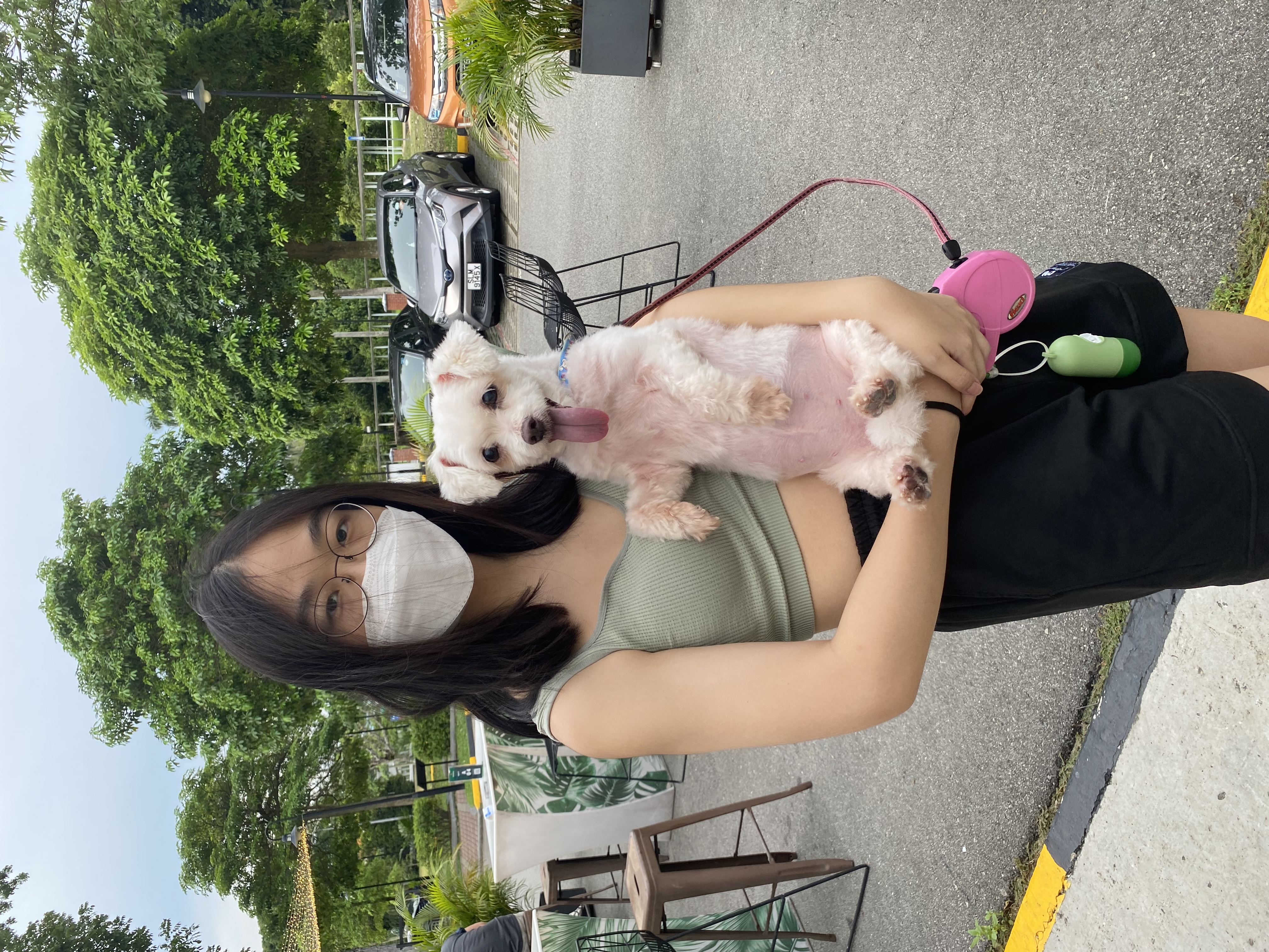 image-13