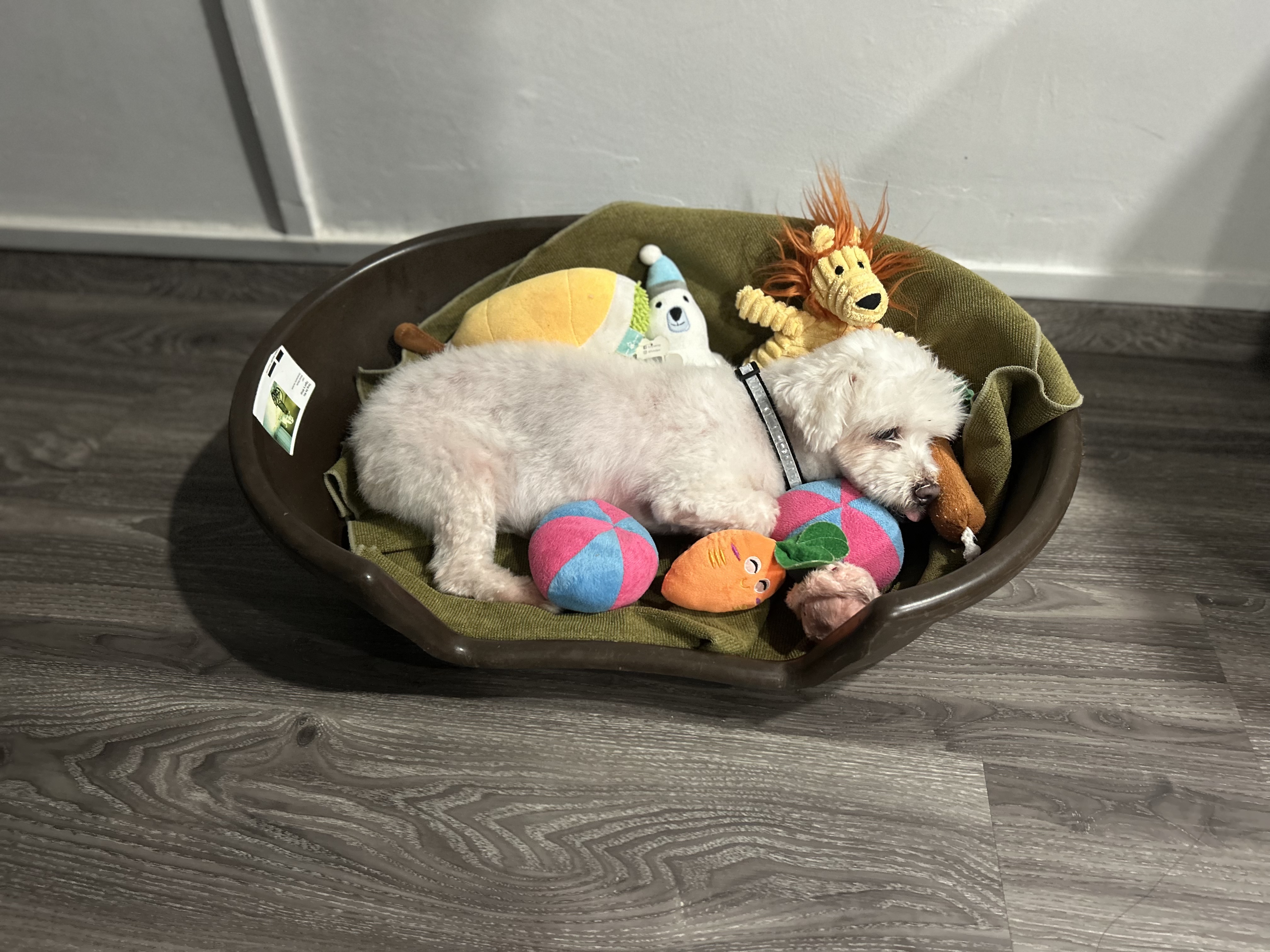 image-8