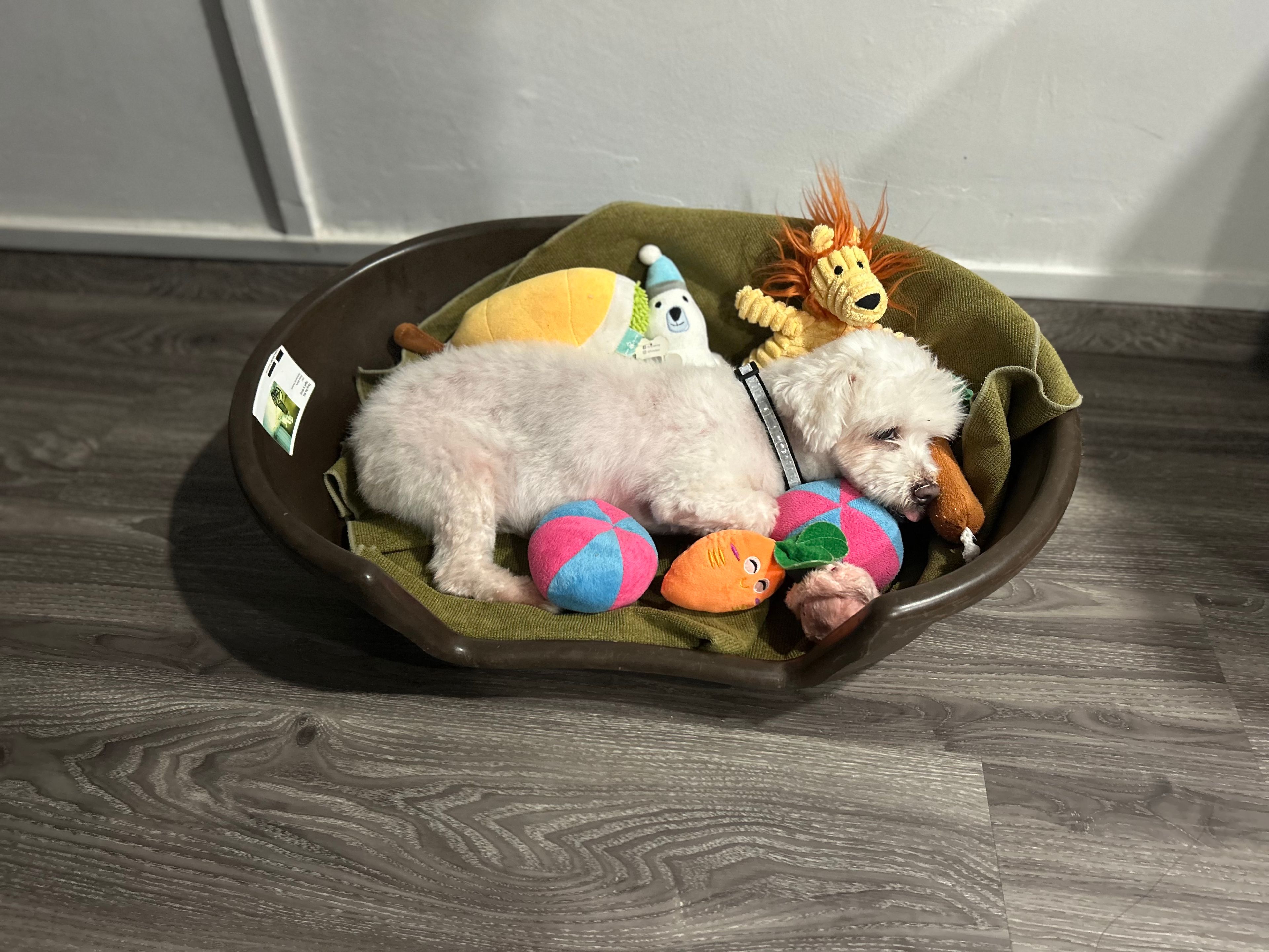 image-8