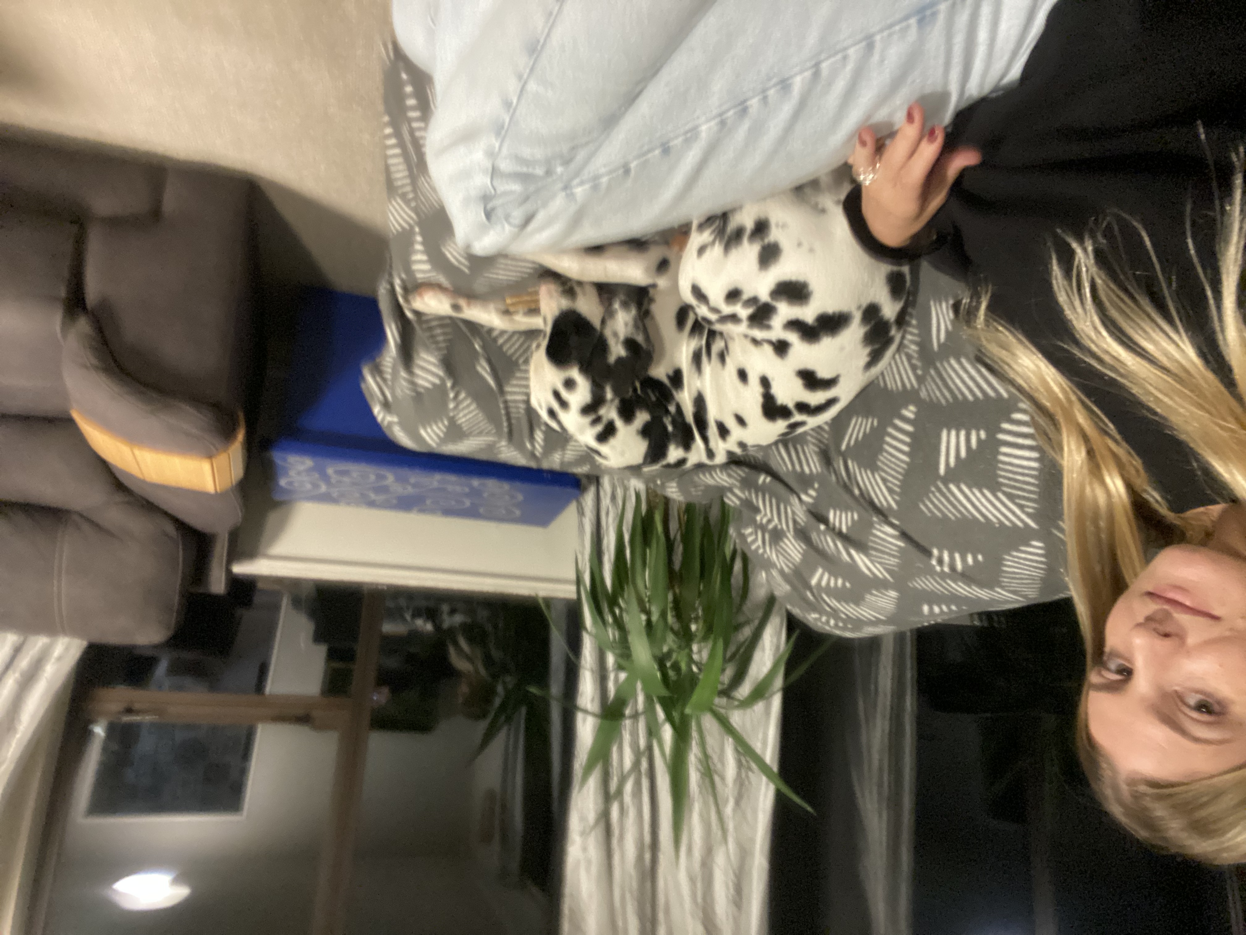 image-5