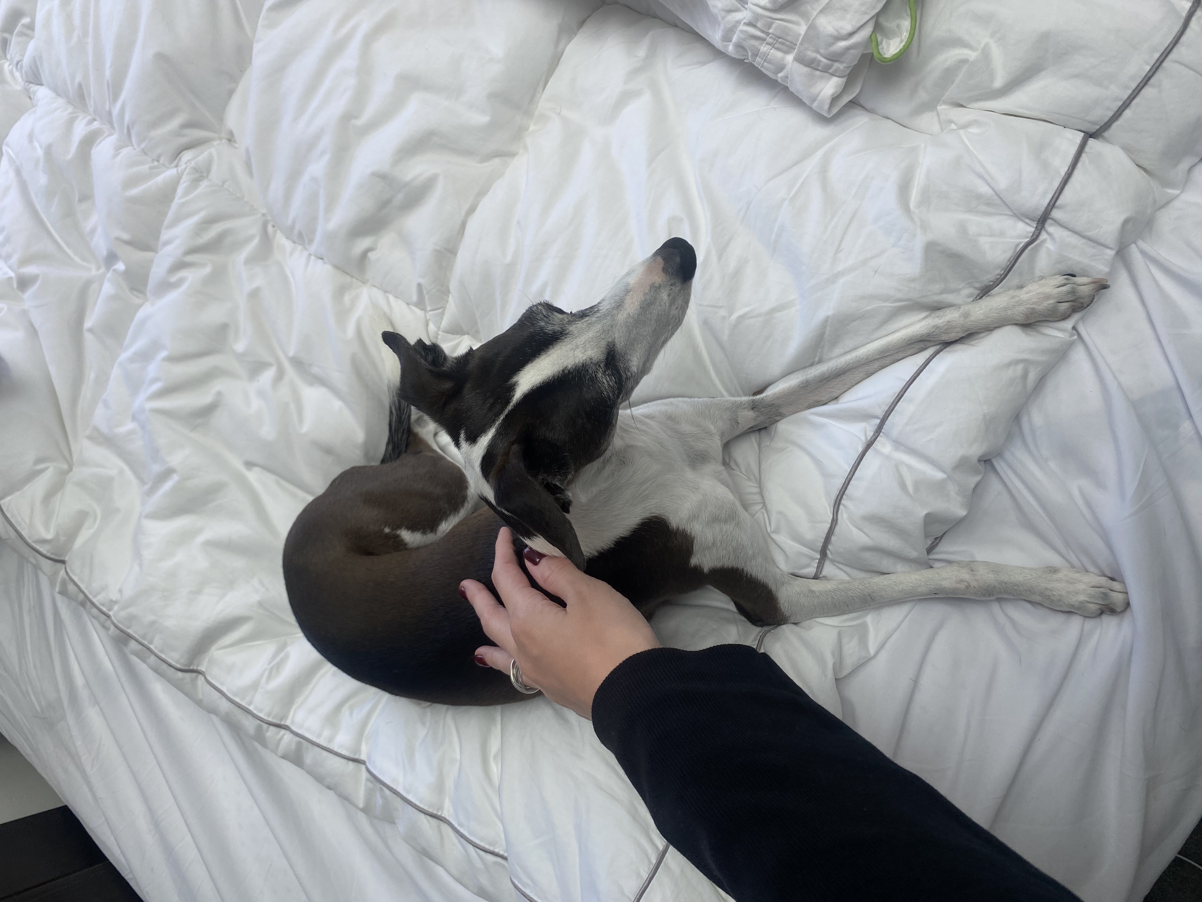 image-7