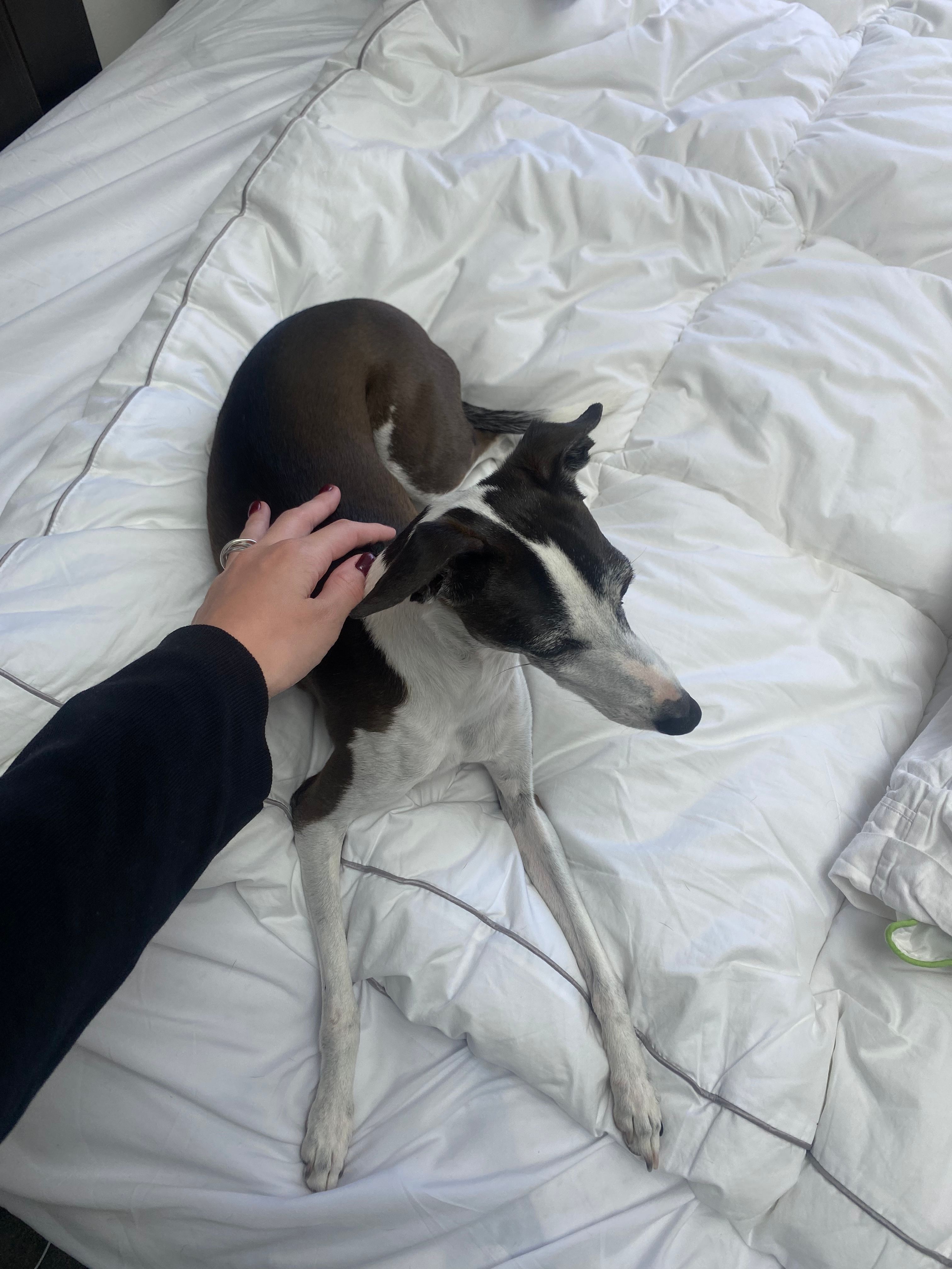 image-7