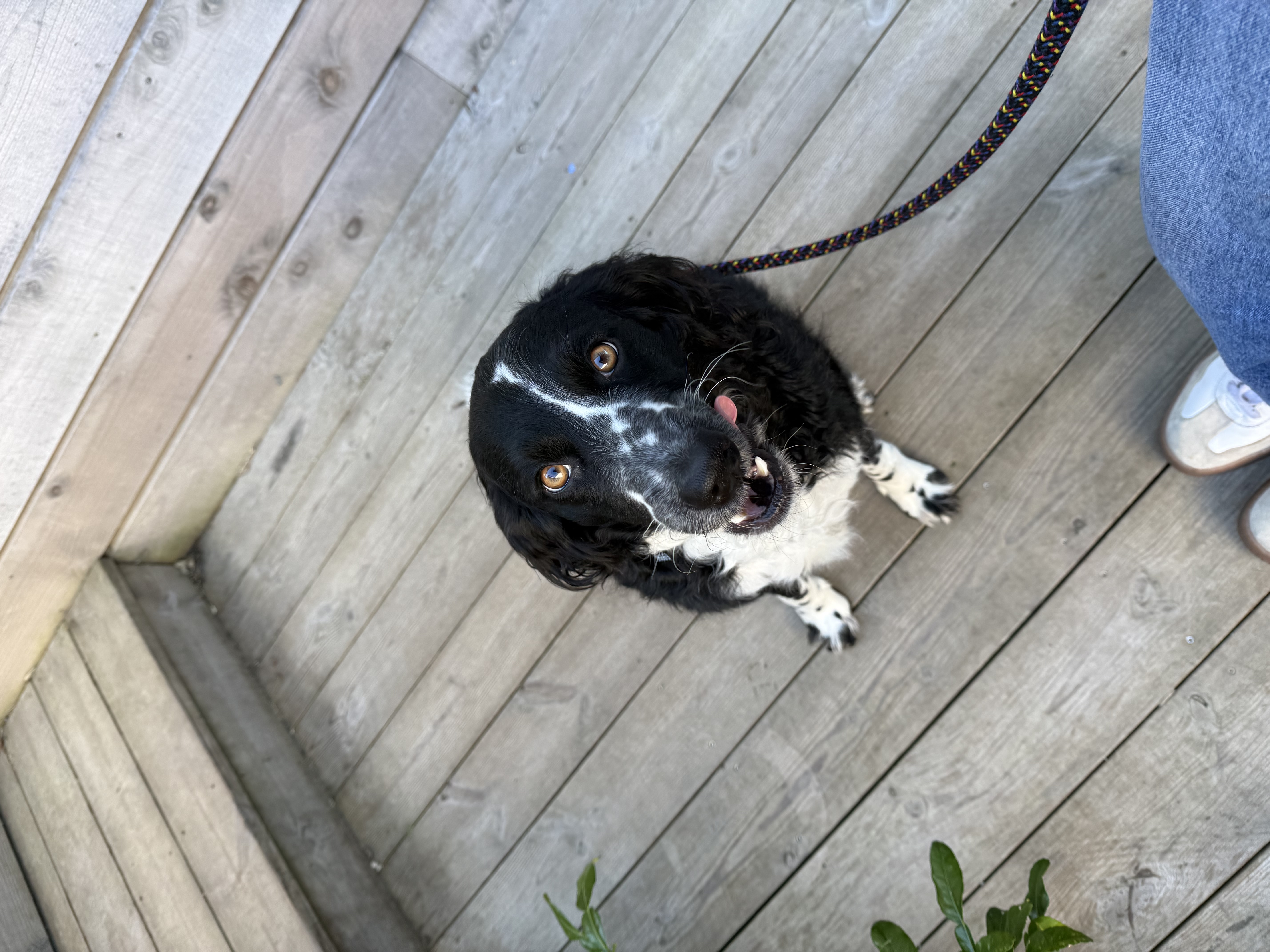 image-16