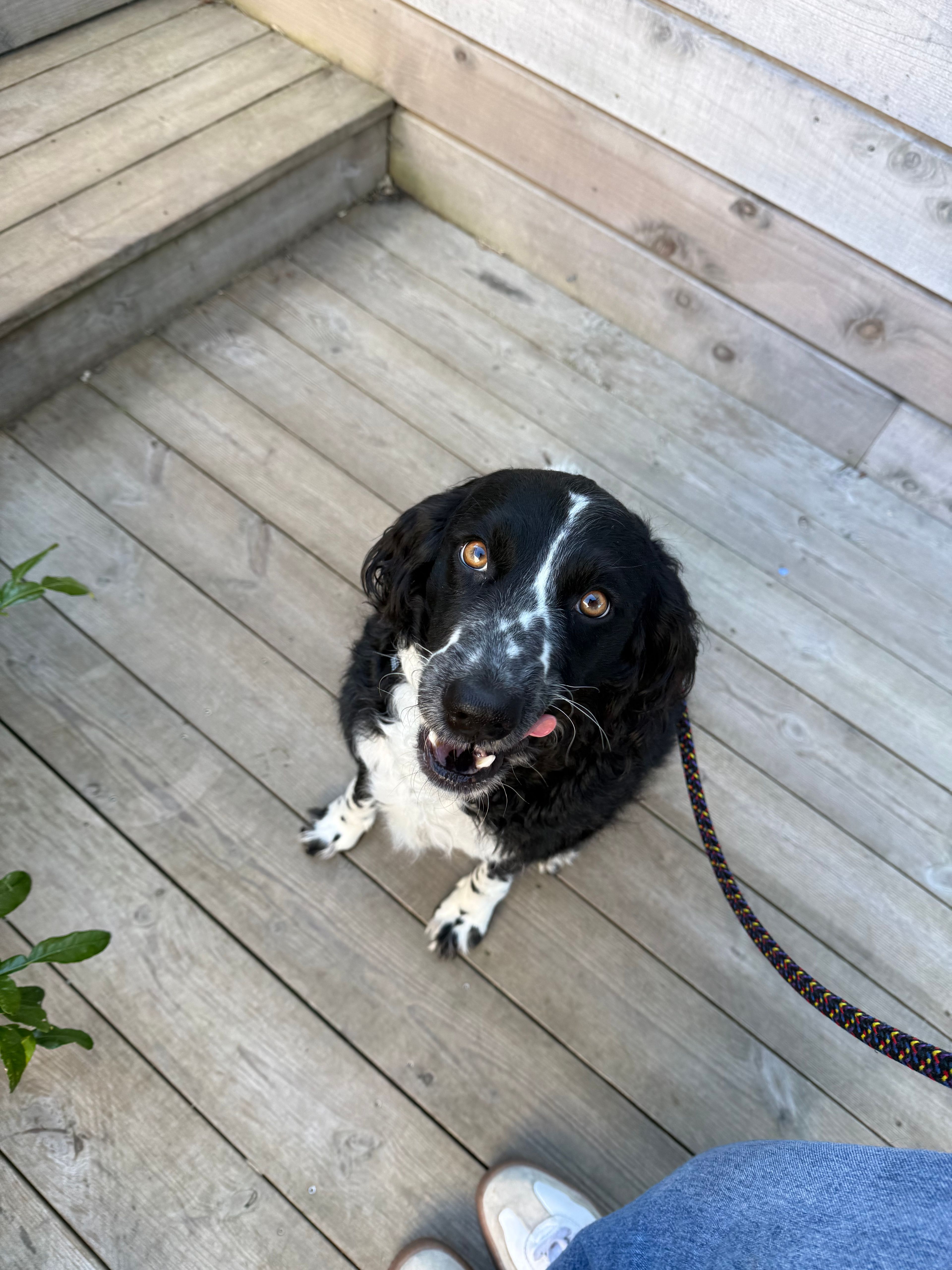 image-16