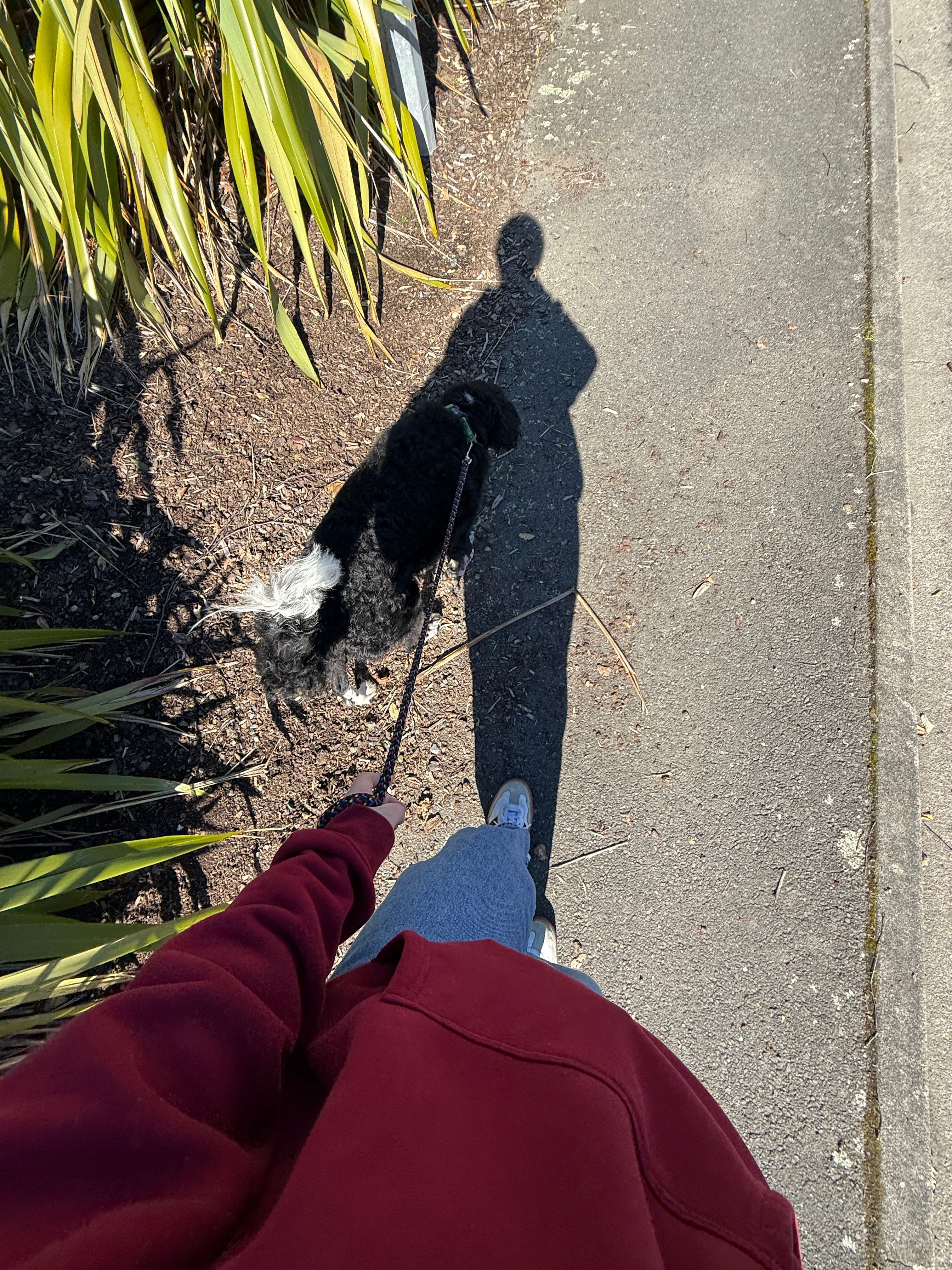 image-4