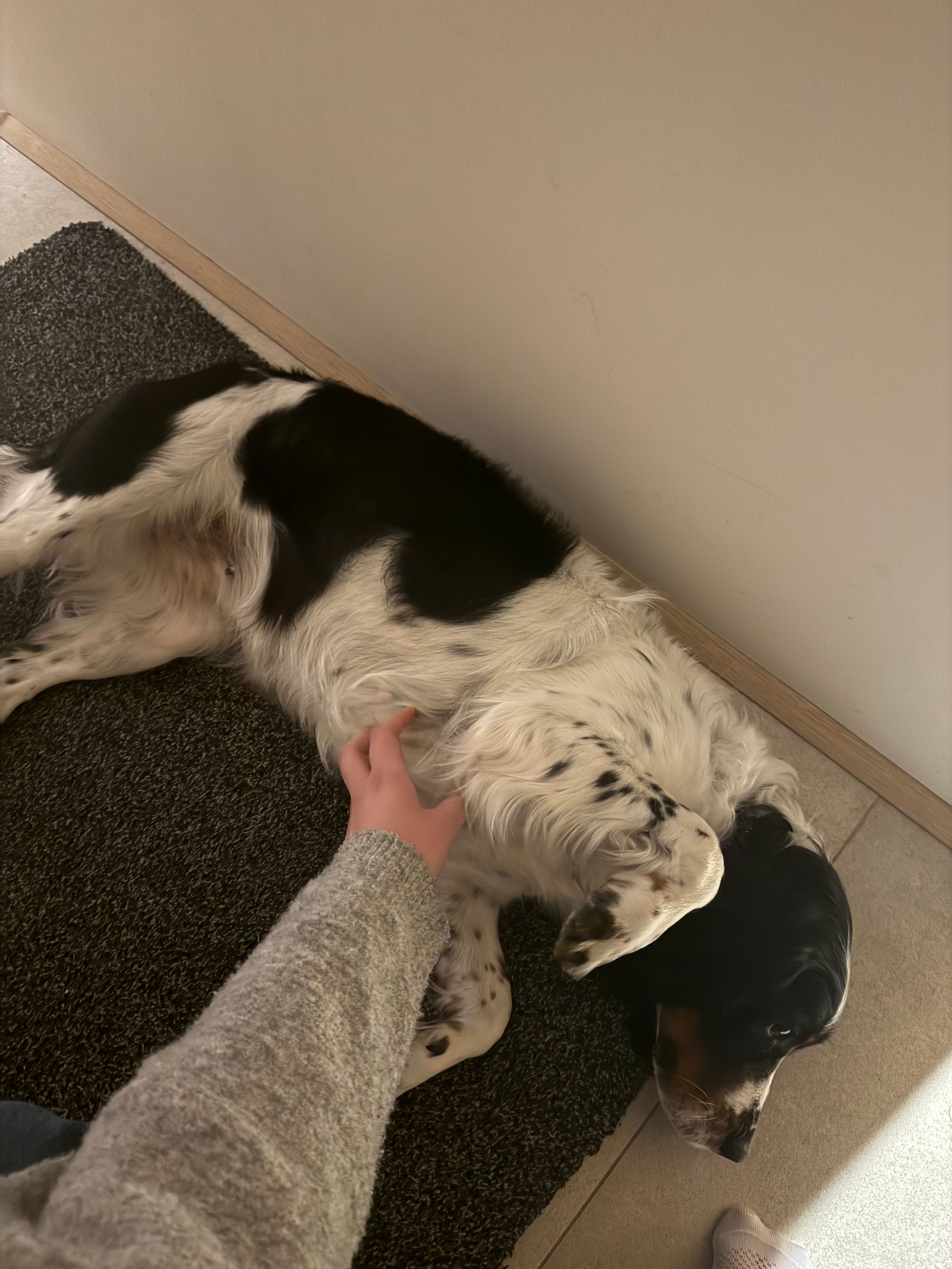 image-15