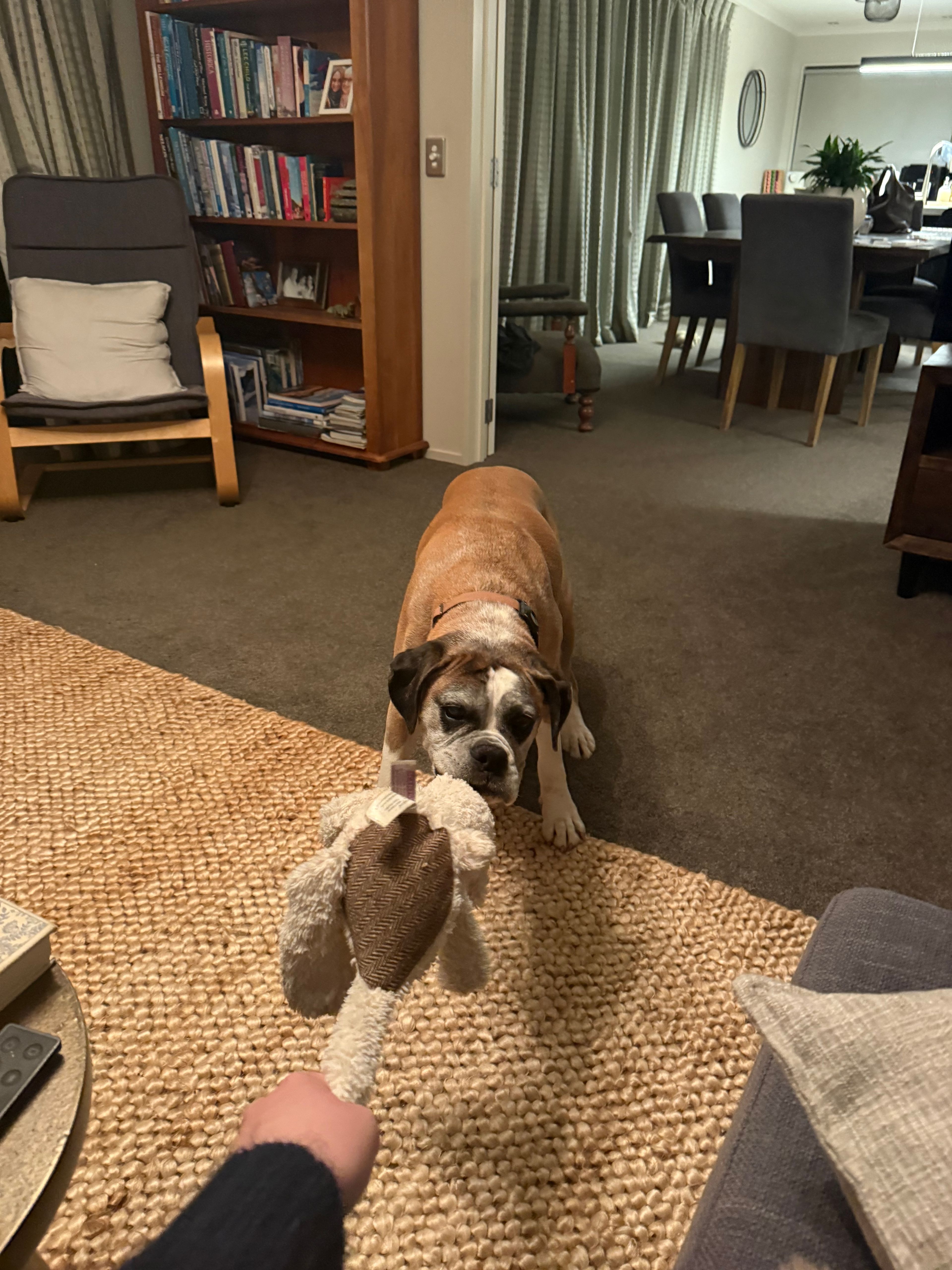 image-12