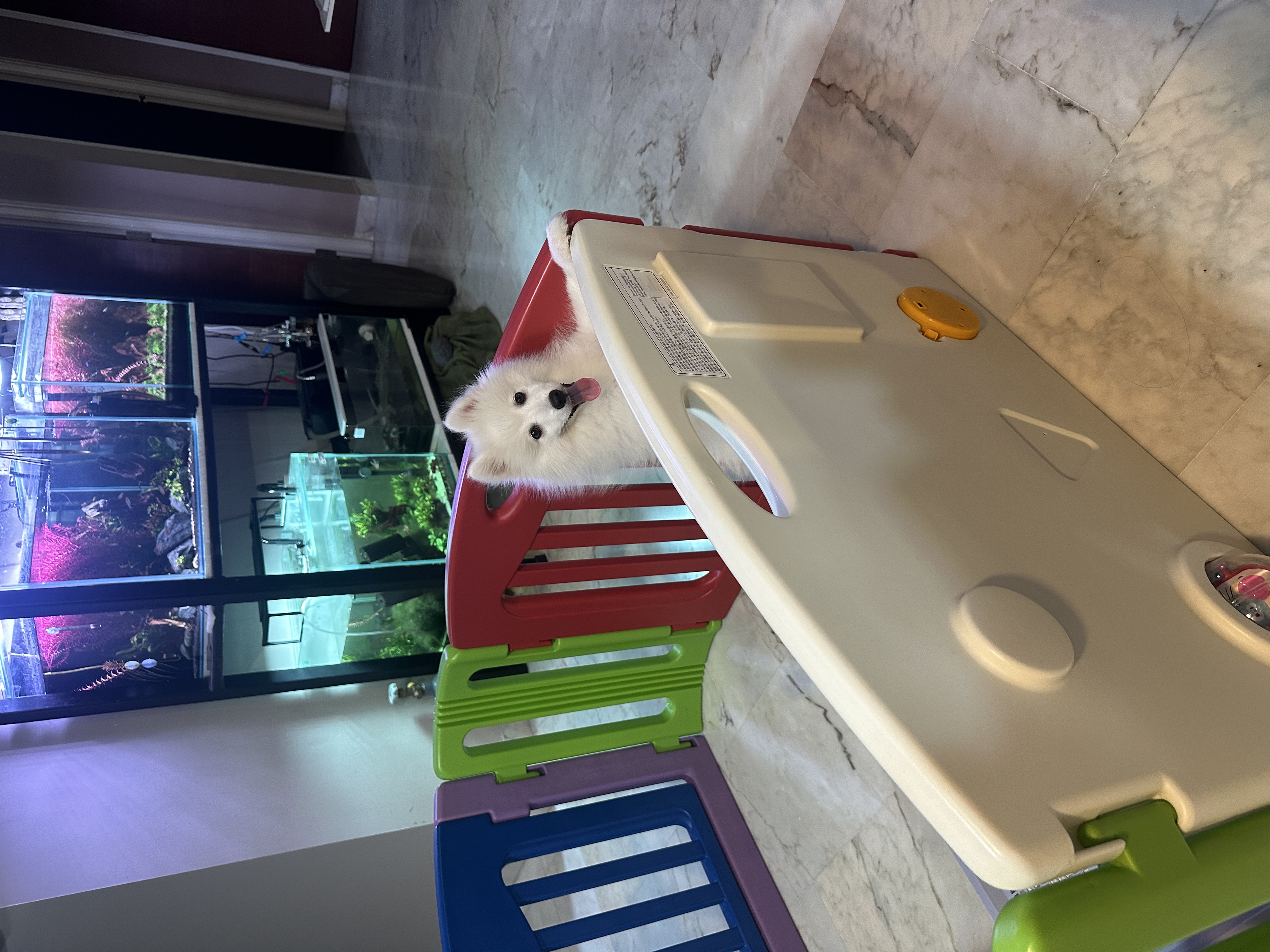 image-12