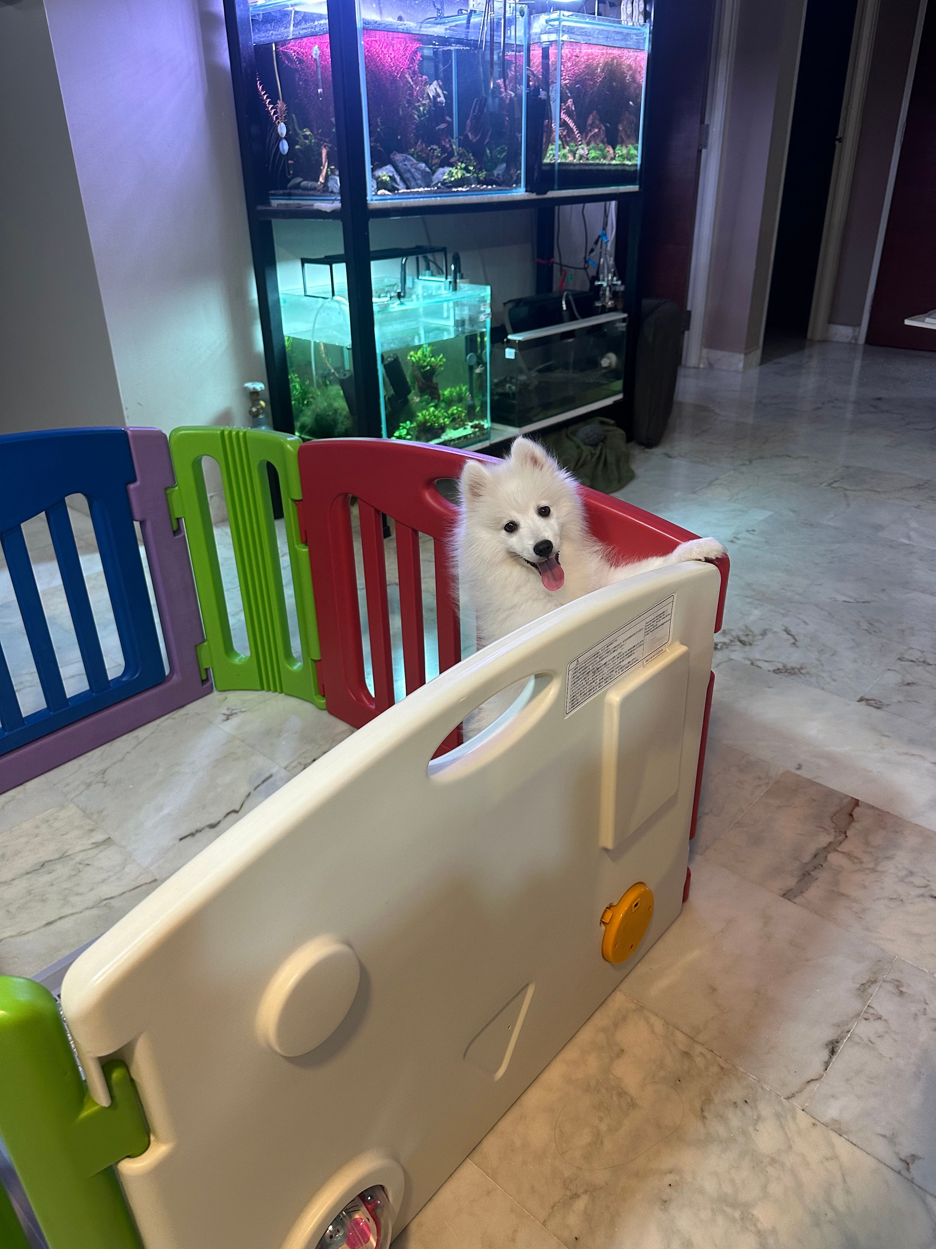 image-12