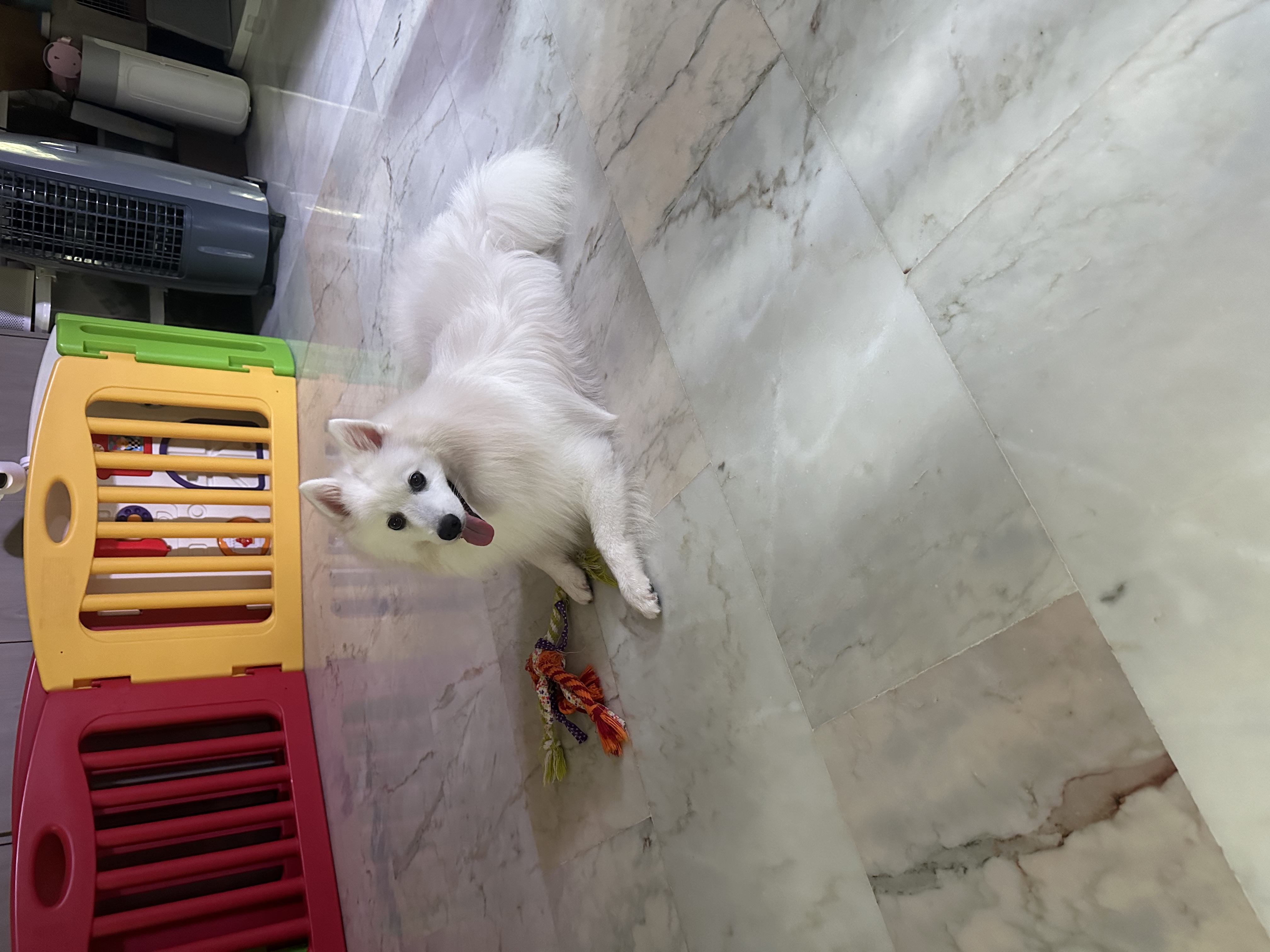 image-9