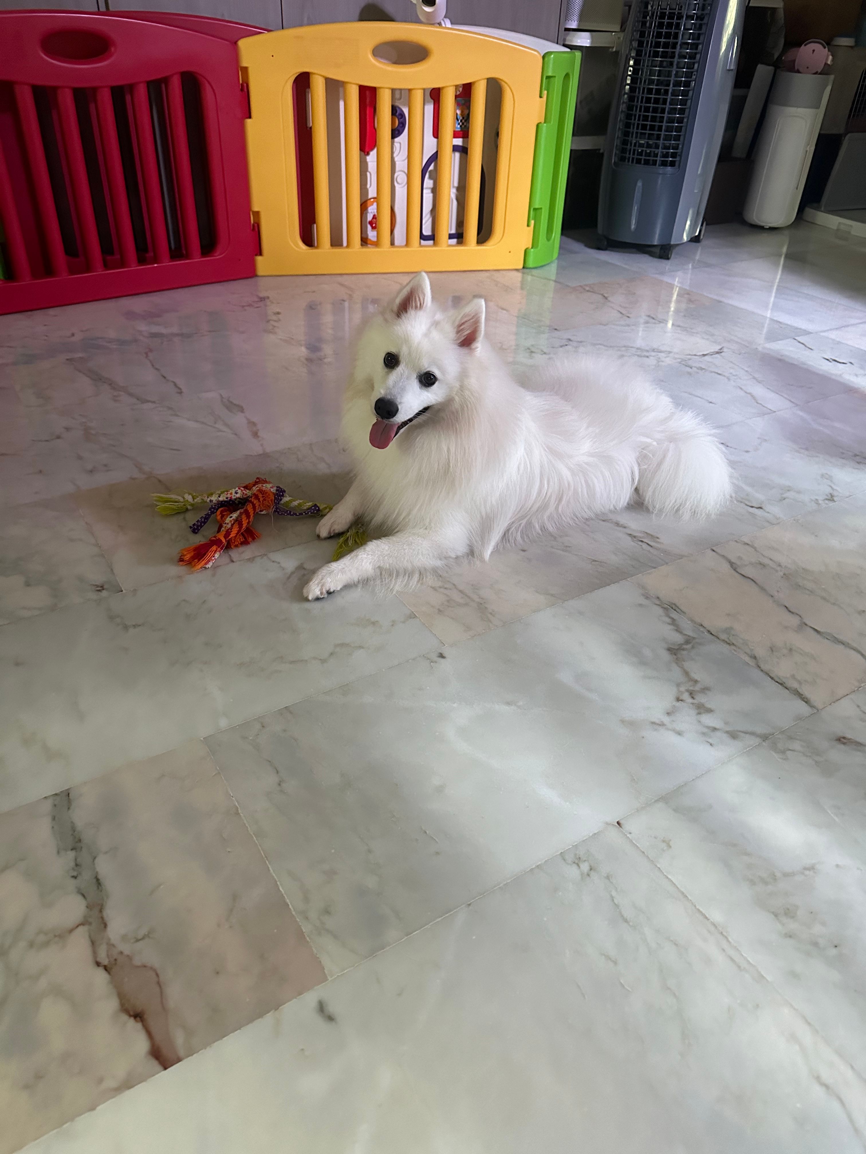 image-9