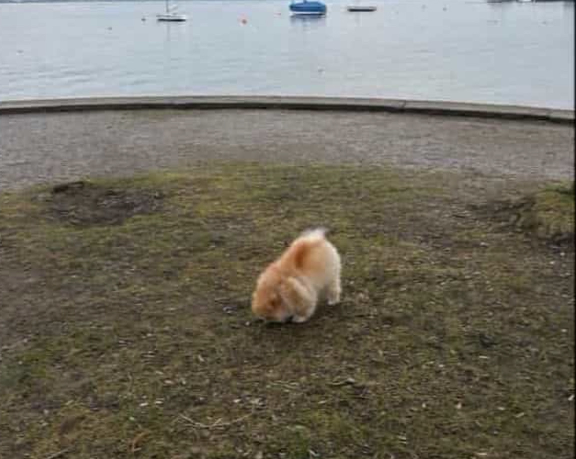 image-6