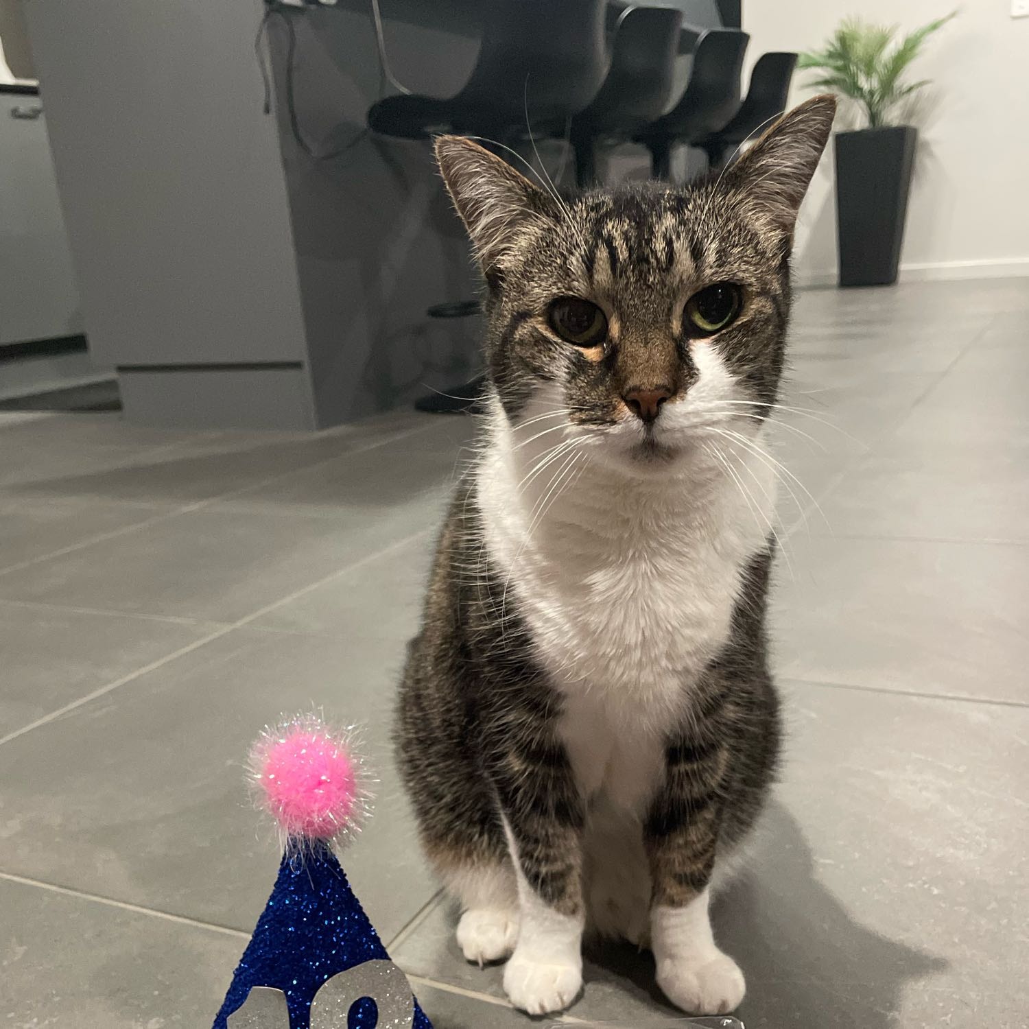 Mittens