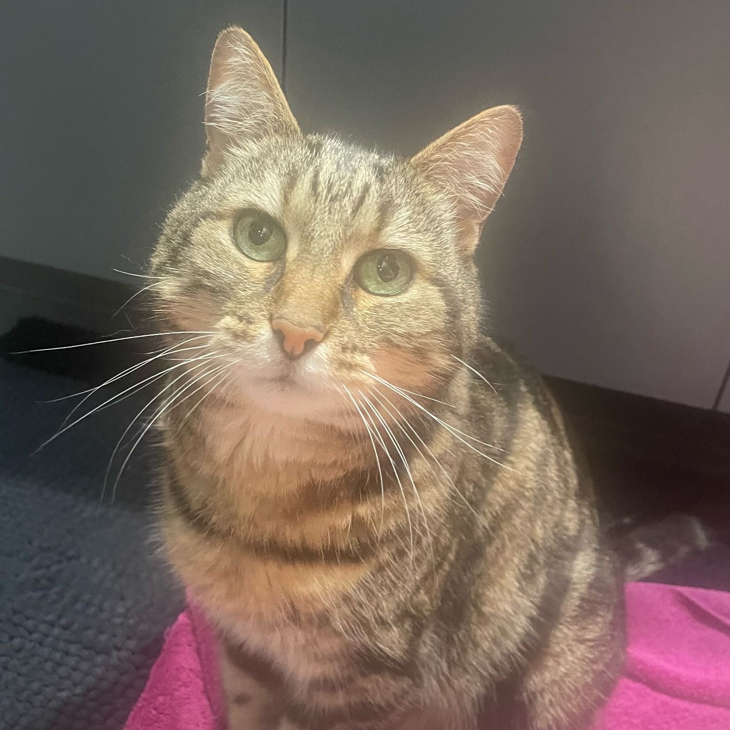 Tigger