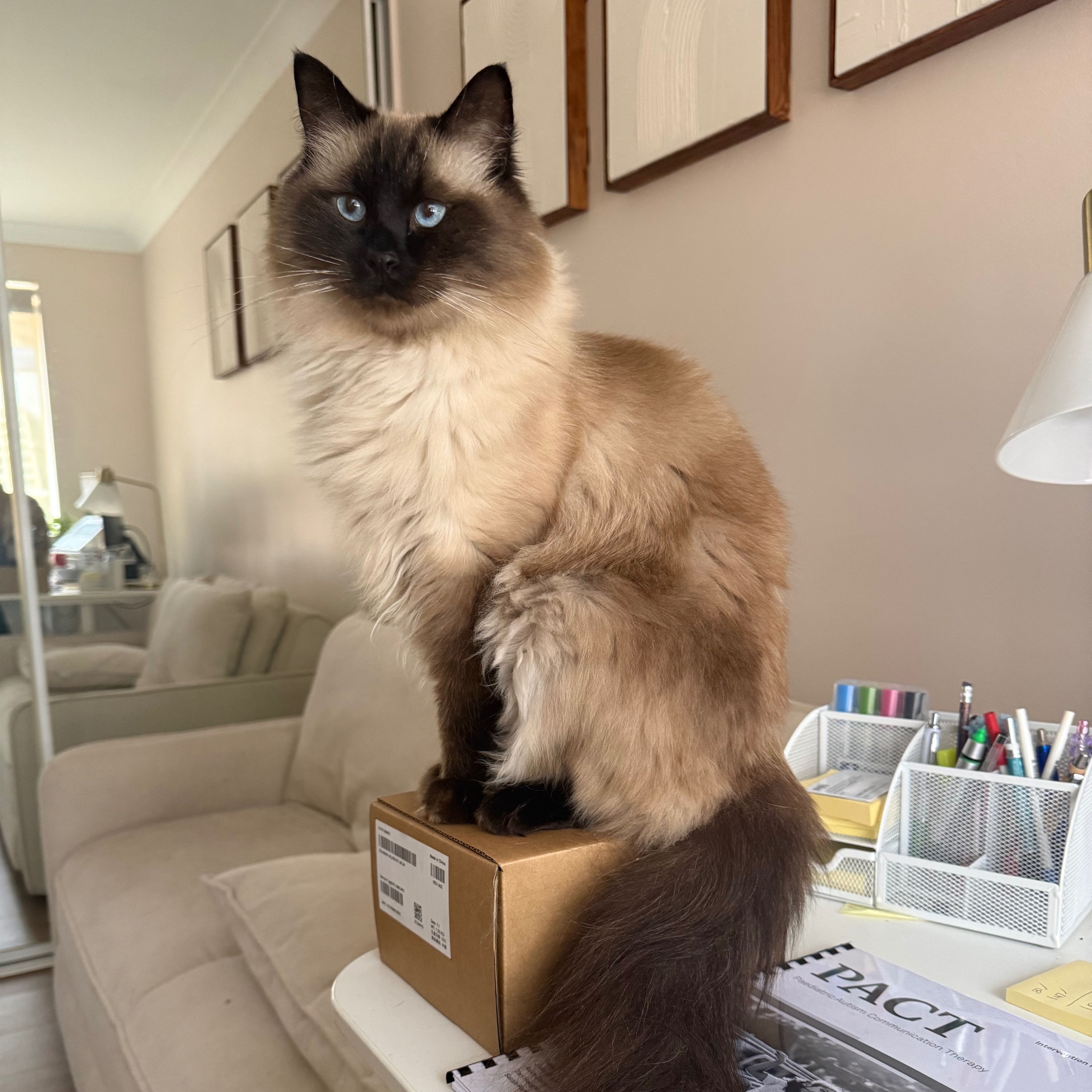 Sebastian