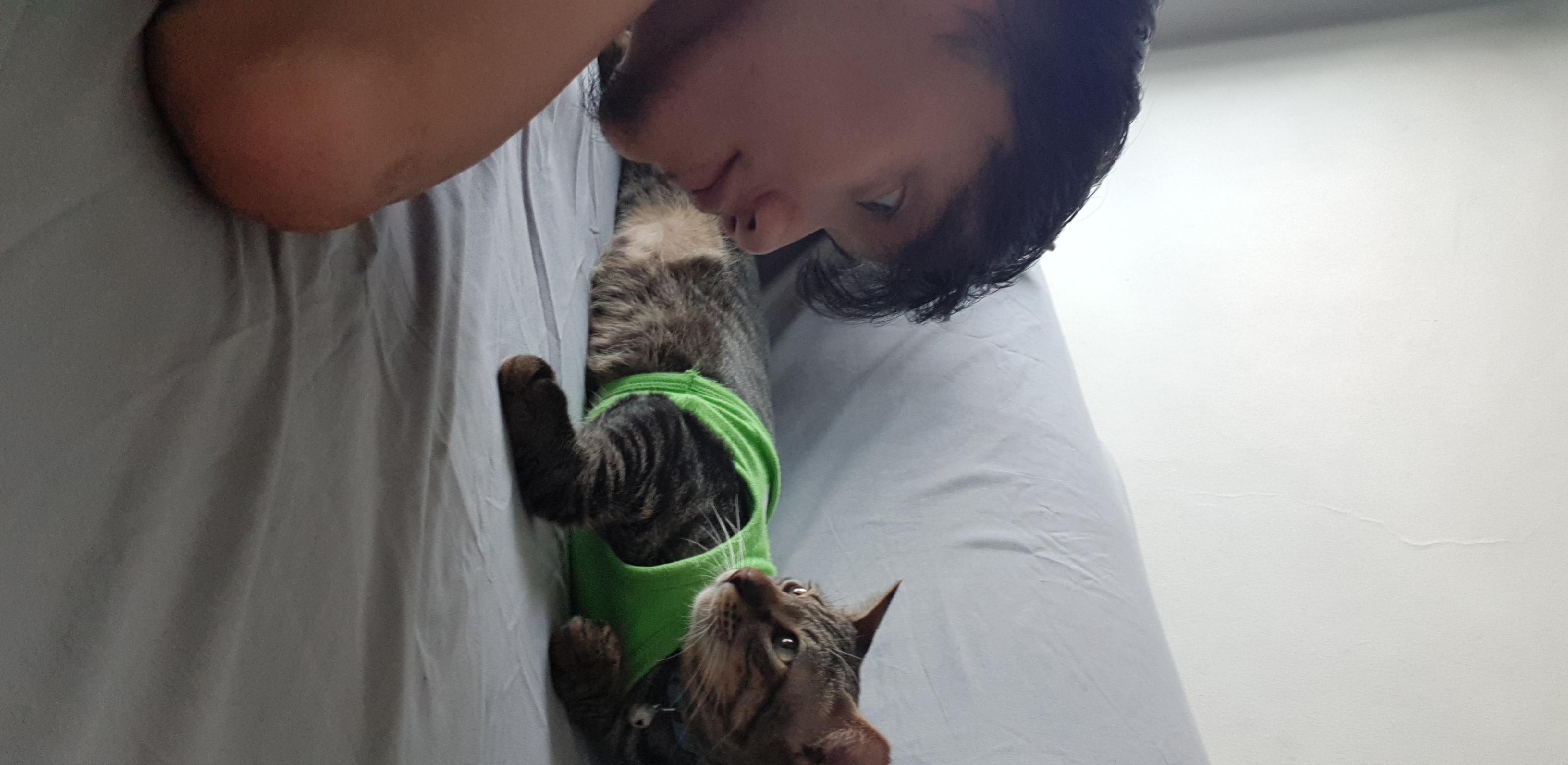 image-10