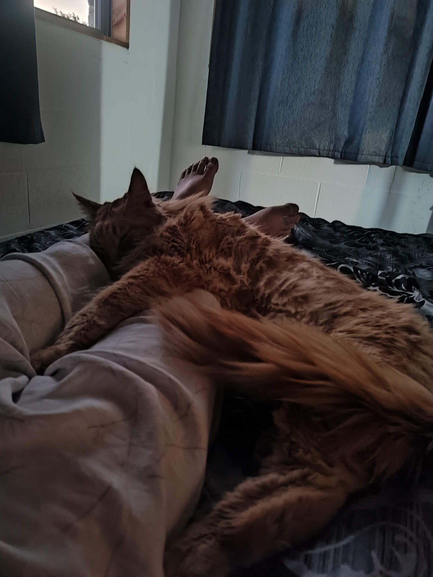 image-4