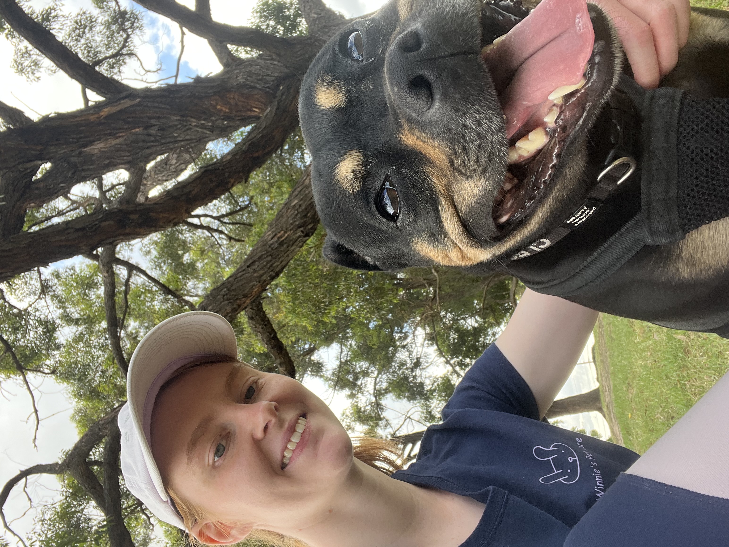 image-8