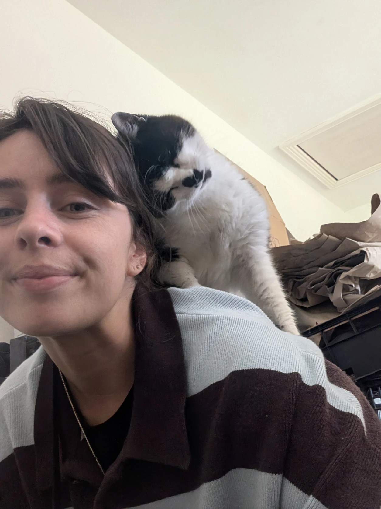 image-10
