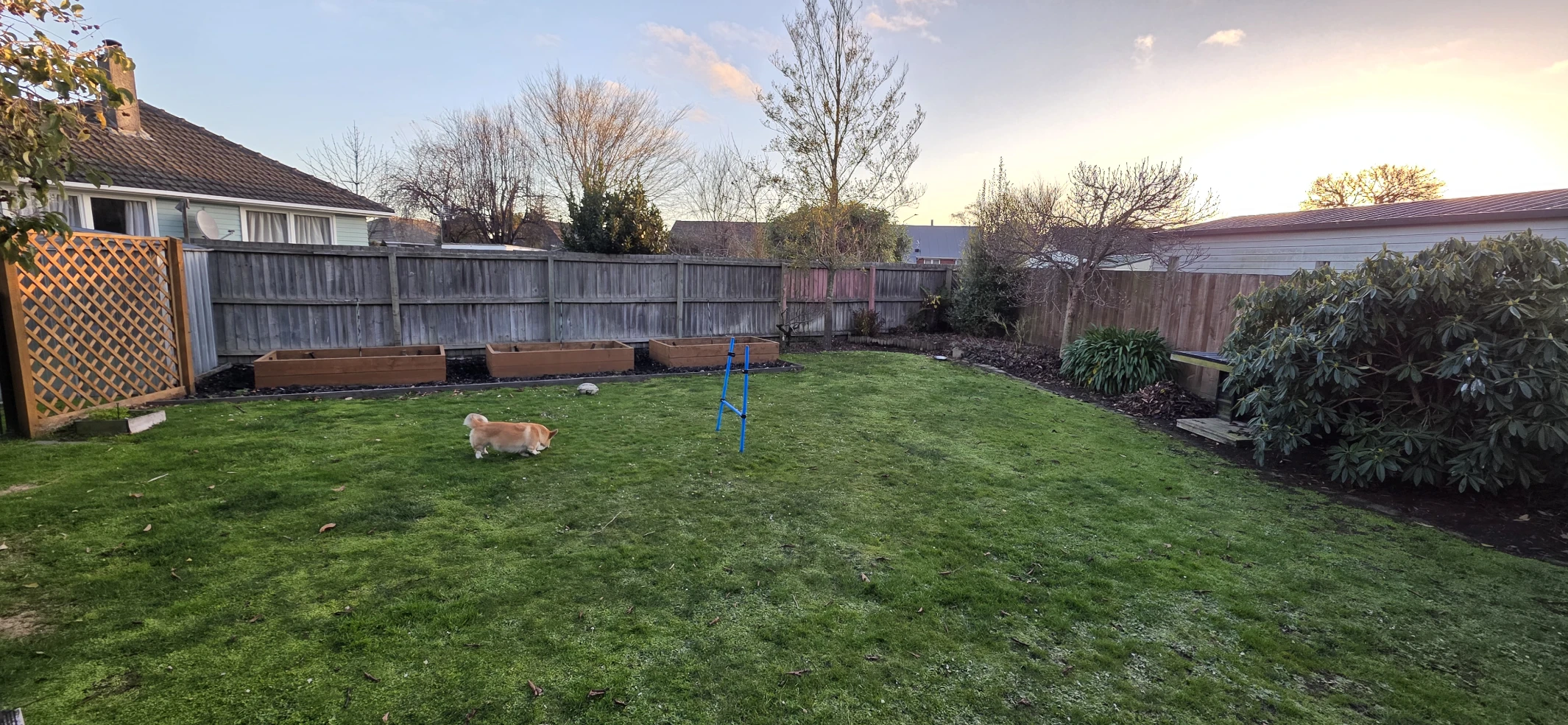 image-16