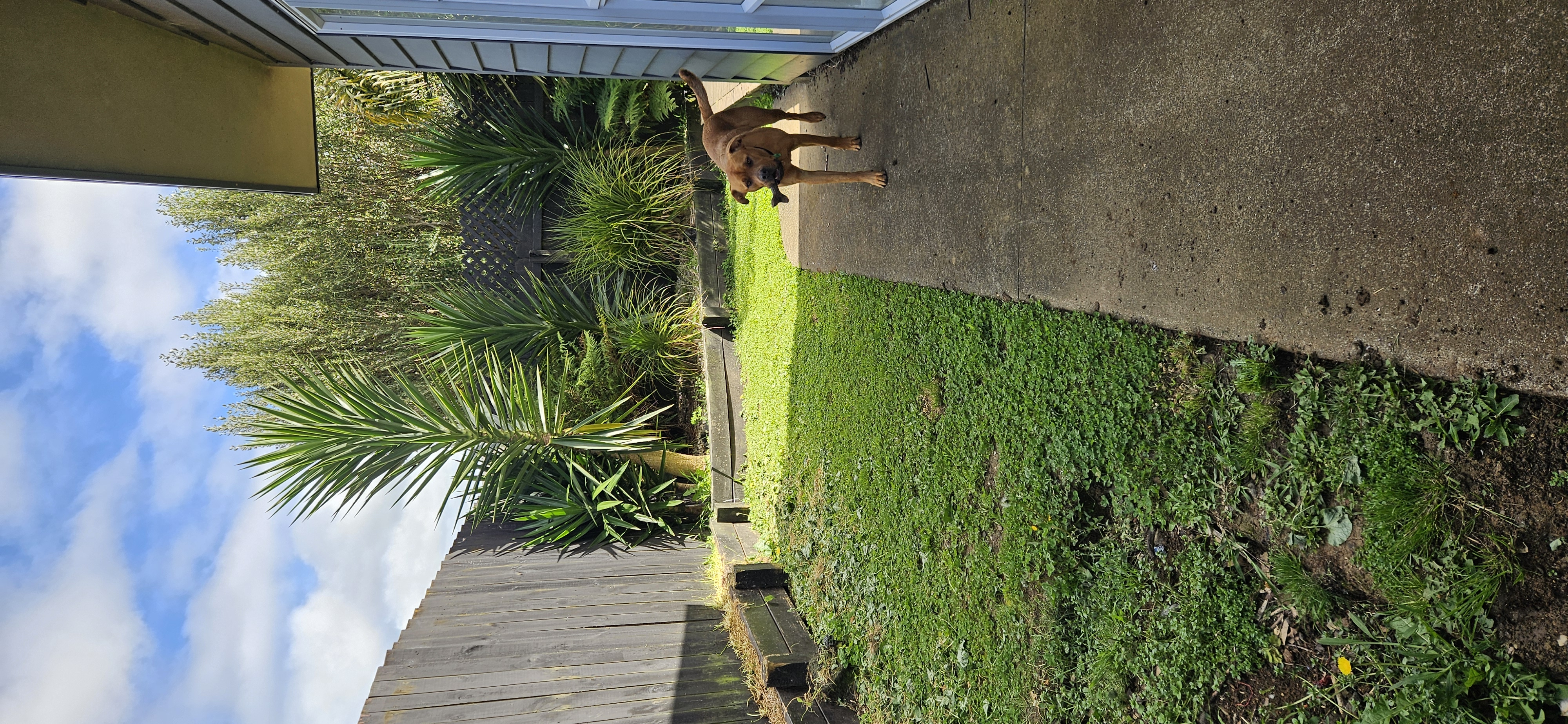image-8