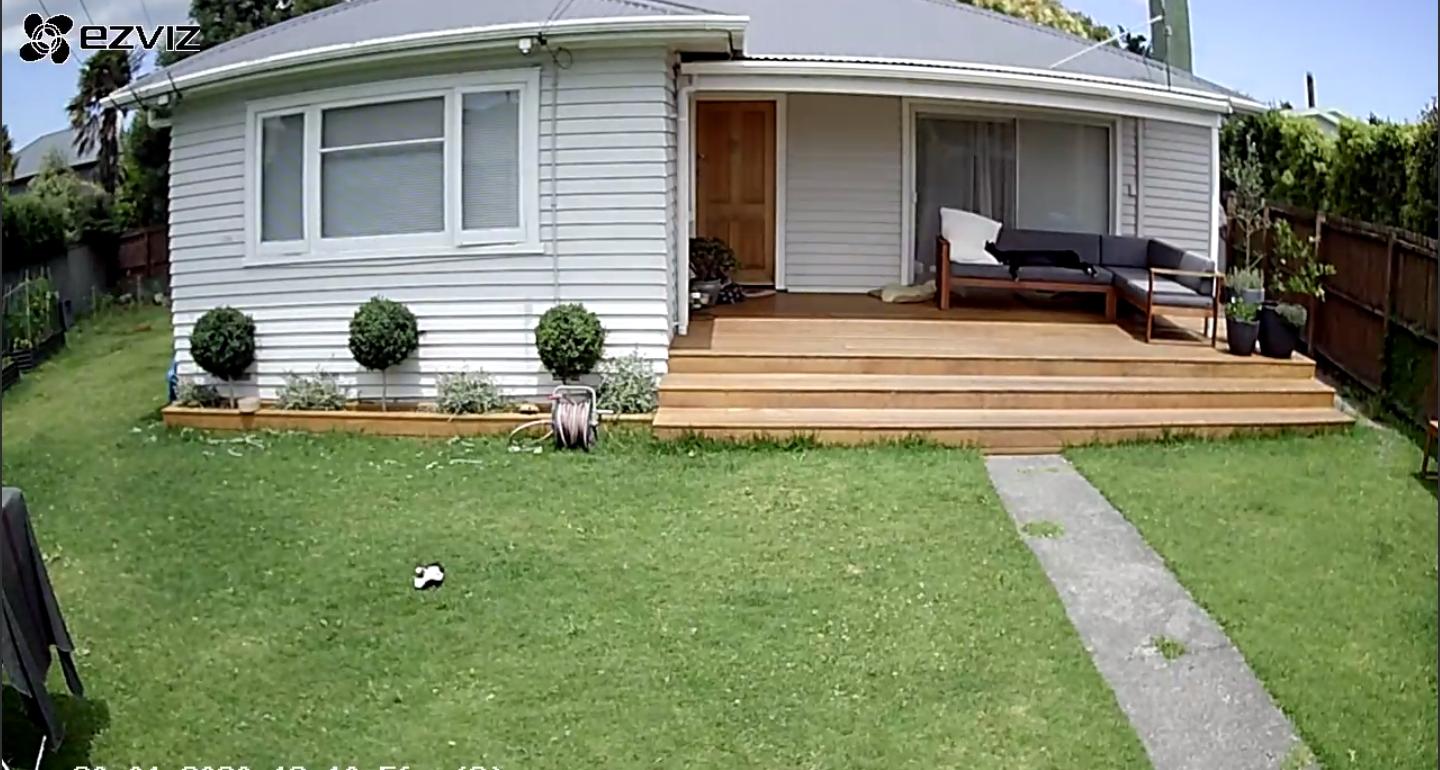 image-12
