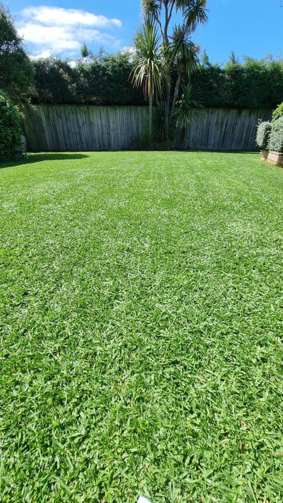 image-10