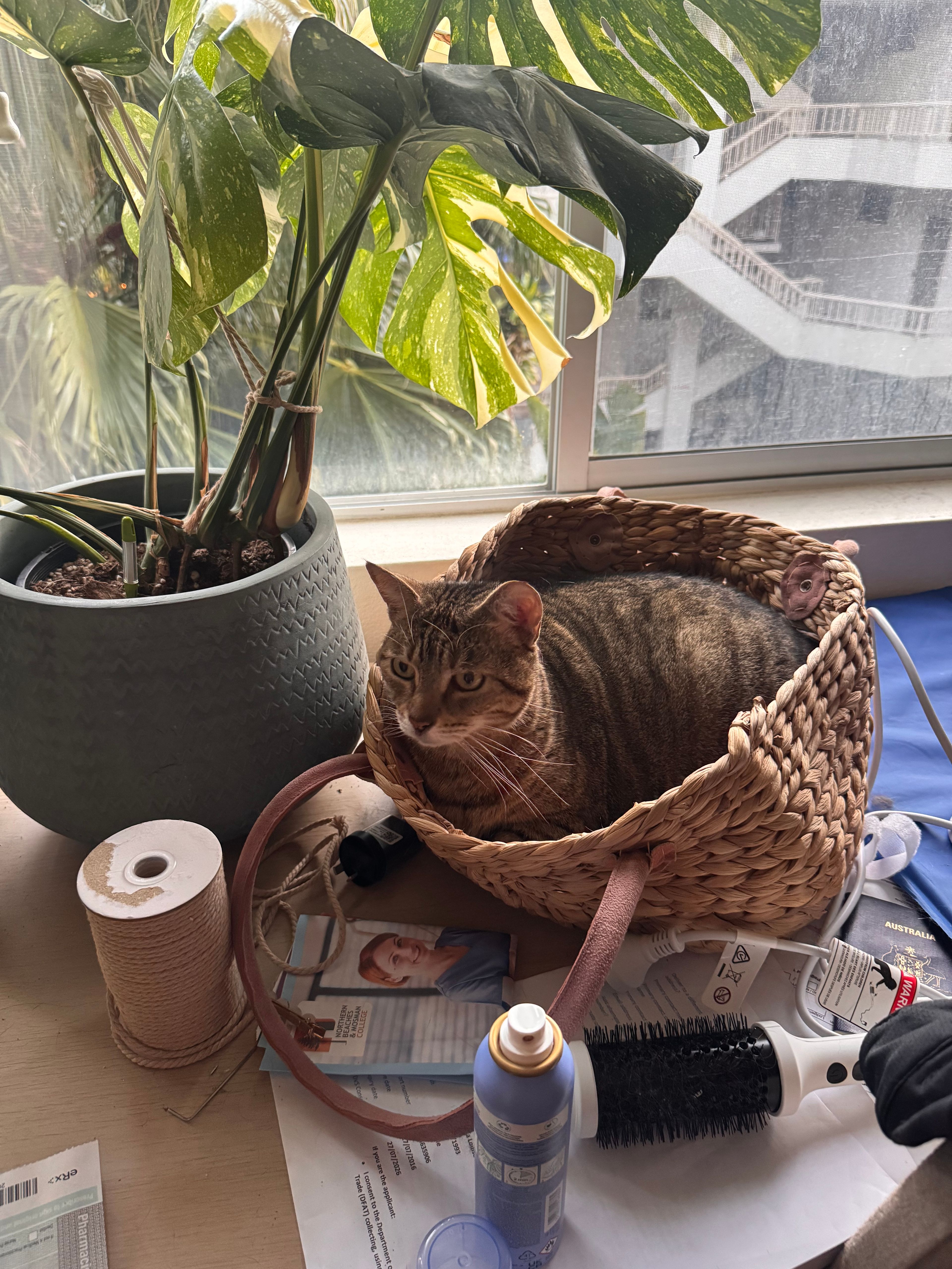 image-13