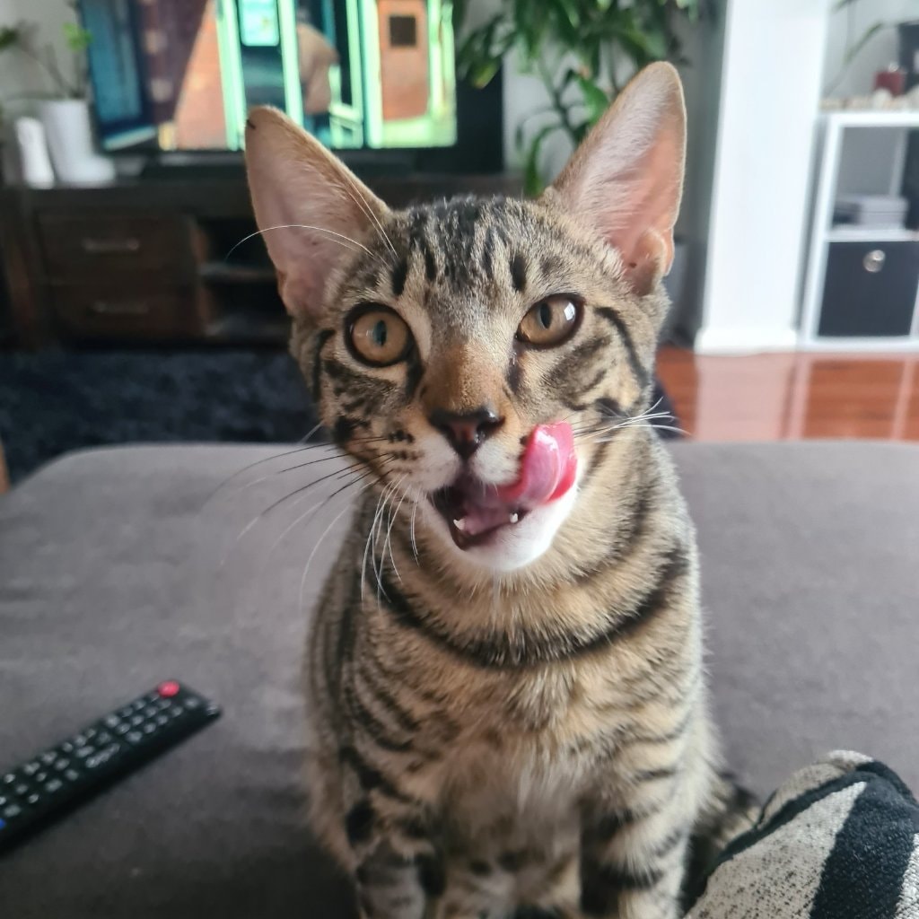 Benny