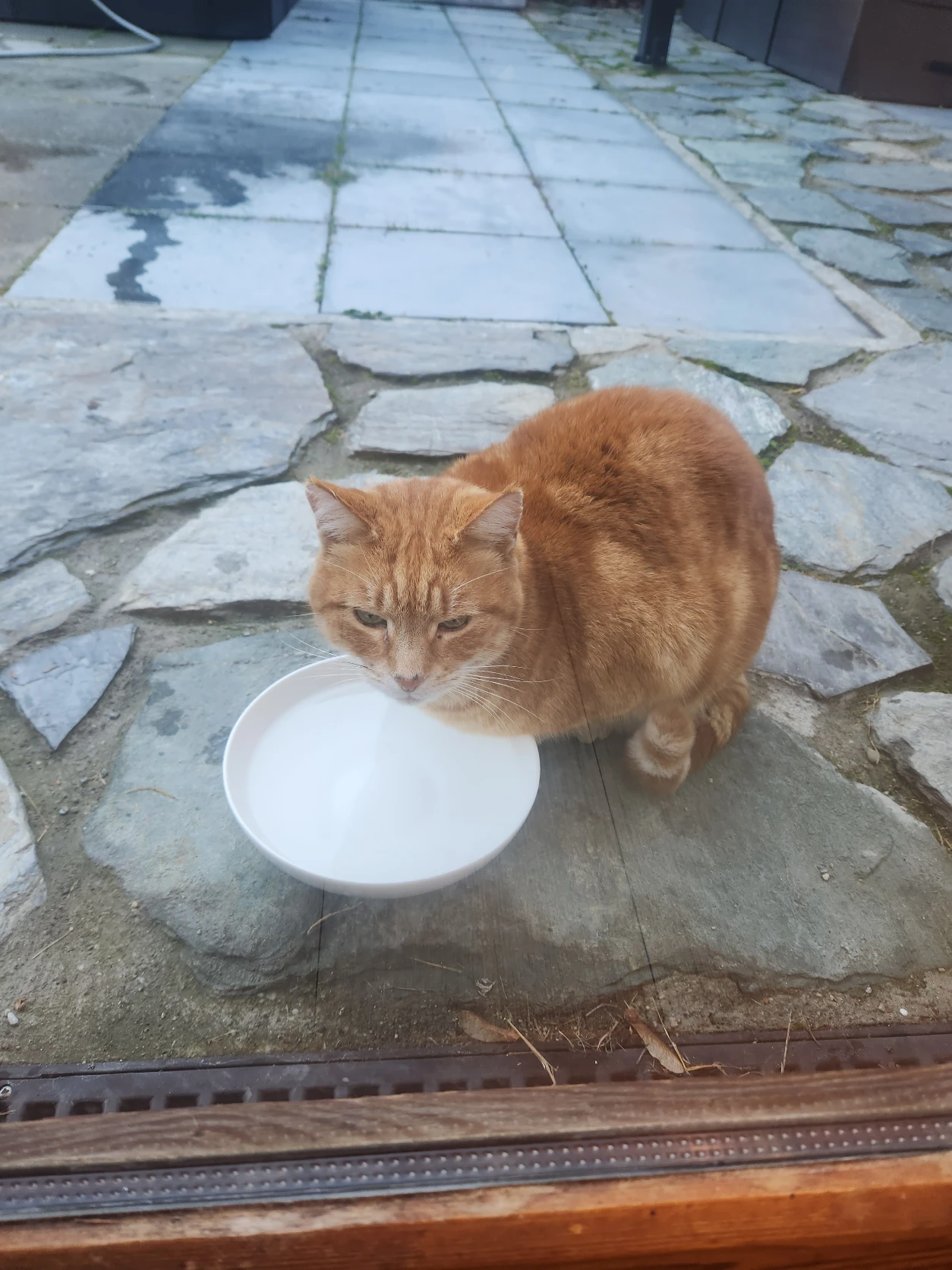 image-6