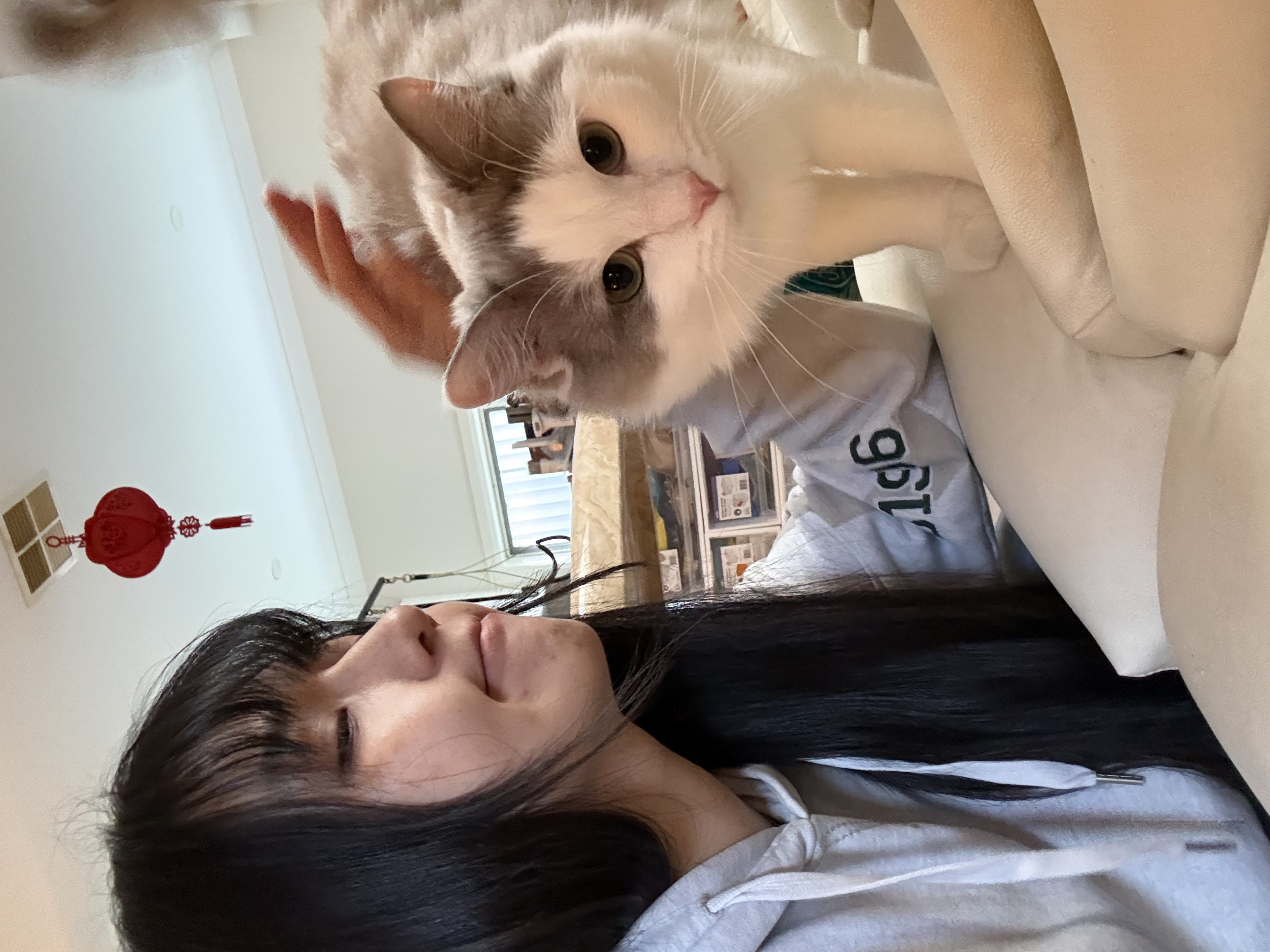 image-18