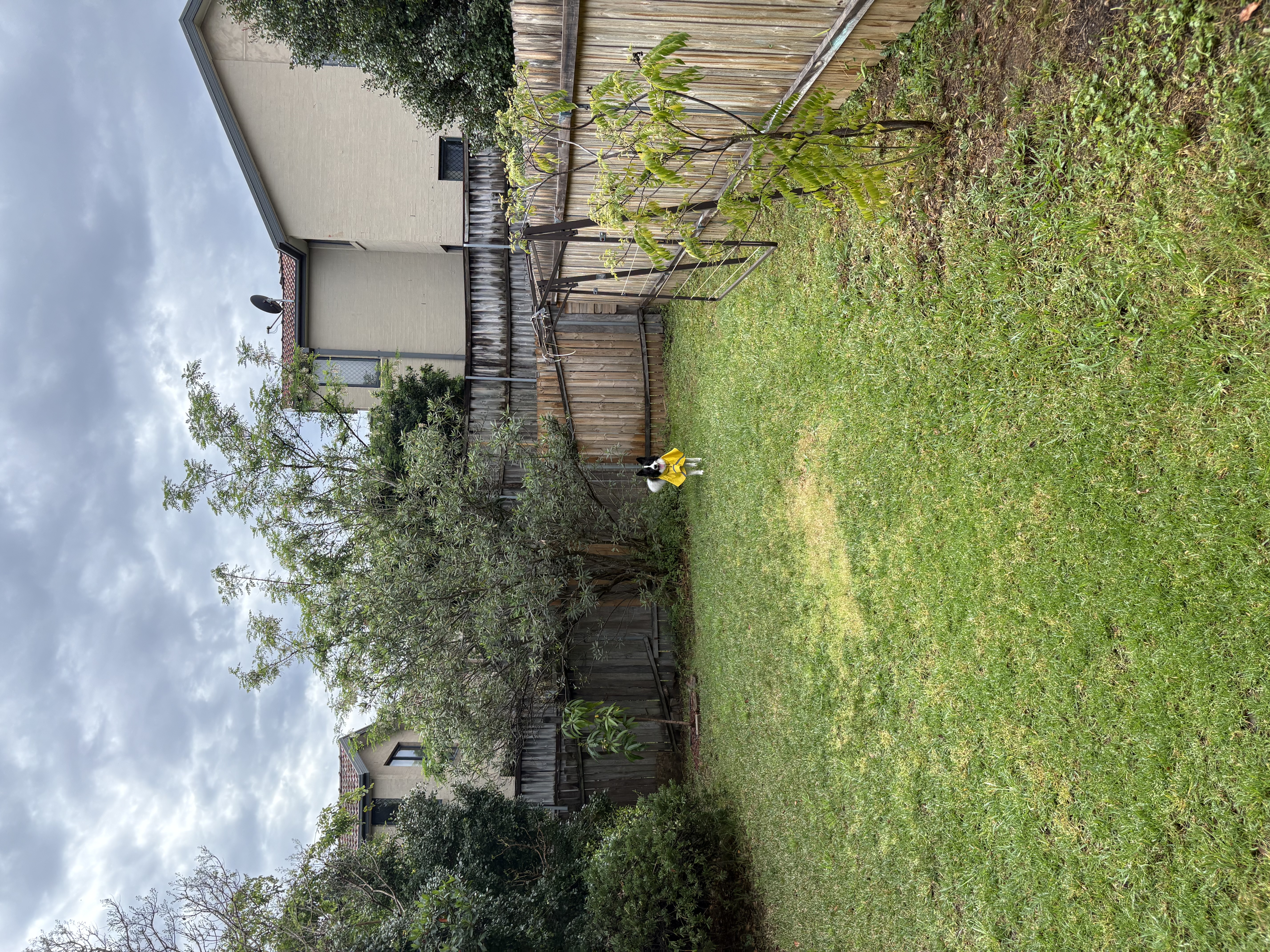image-23